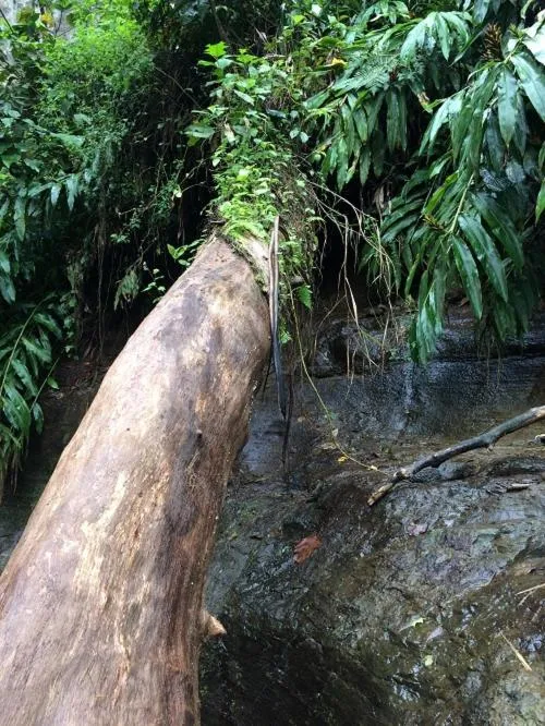 Volivoli Beach Resort