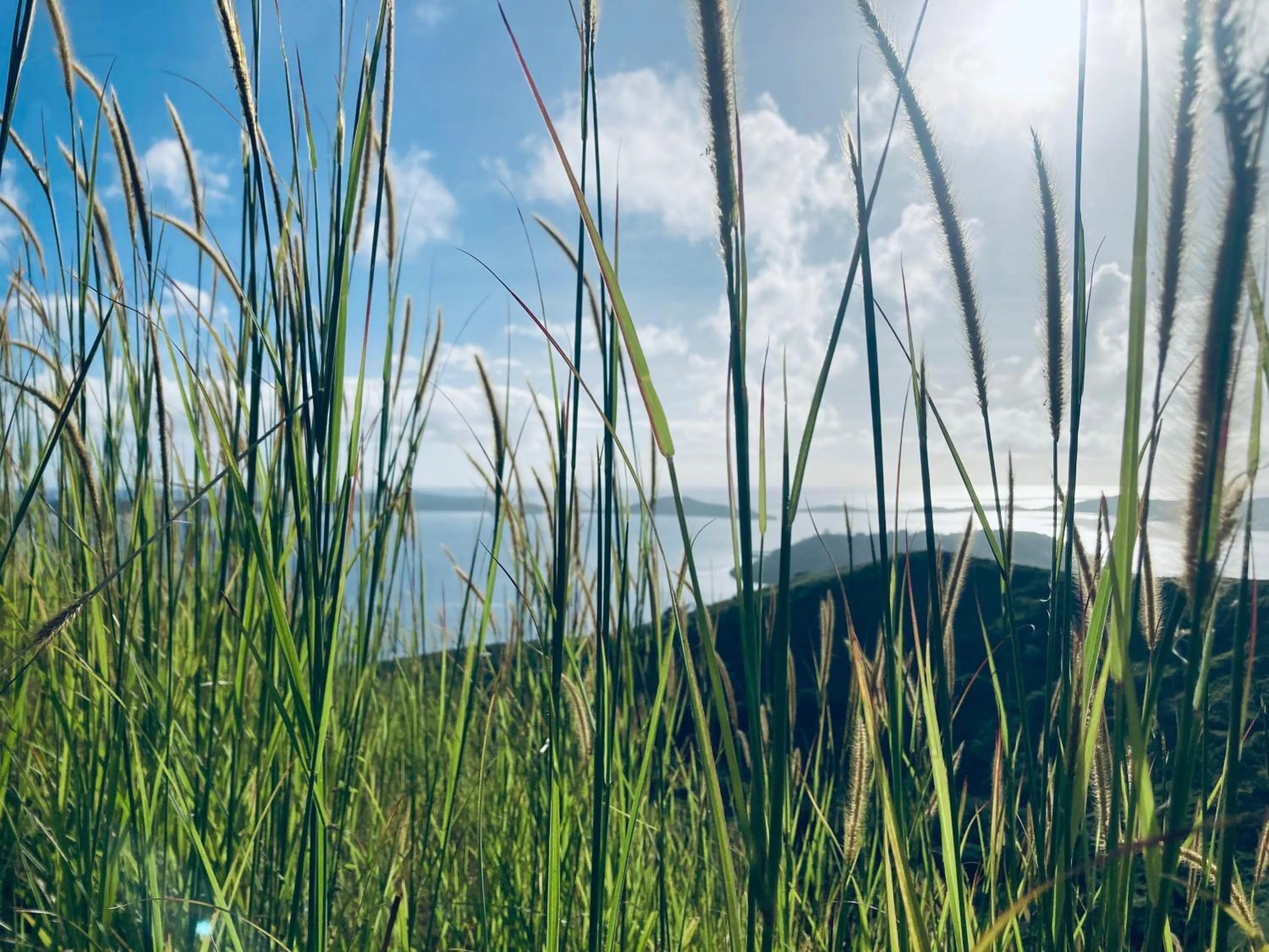 Volivoli Beach Resort