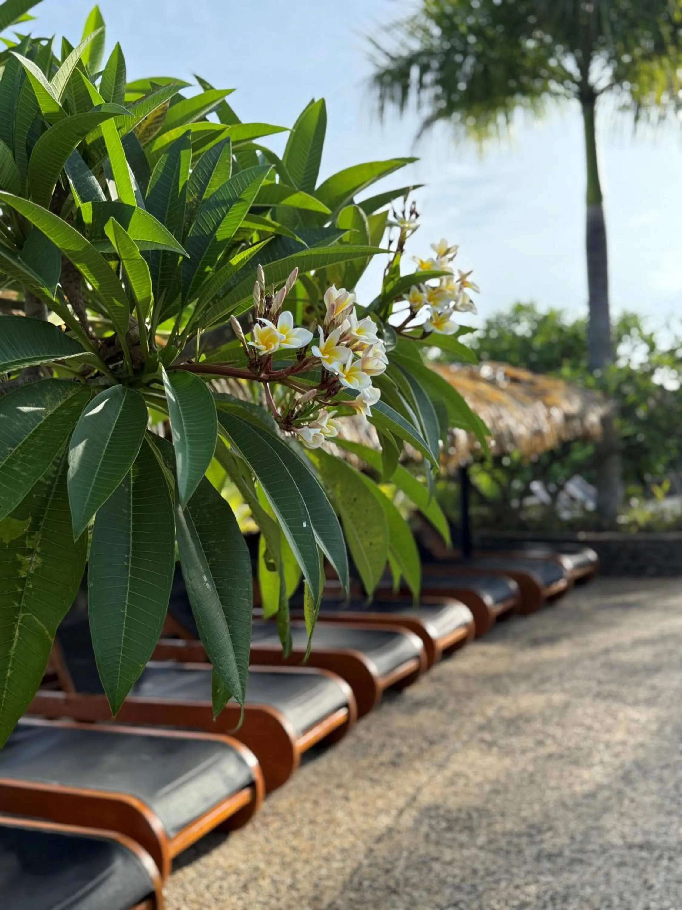 Volivoli Beach Resort