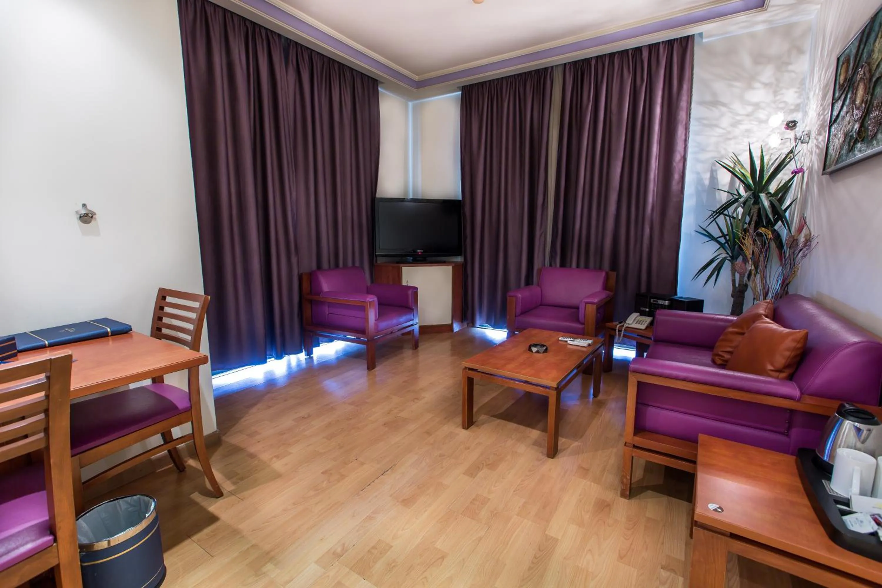 Living room in Princessa Hotel