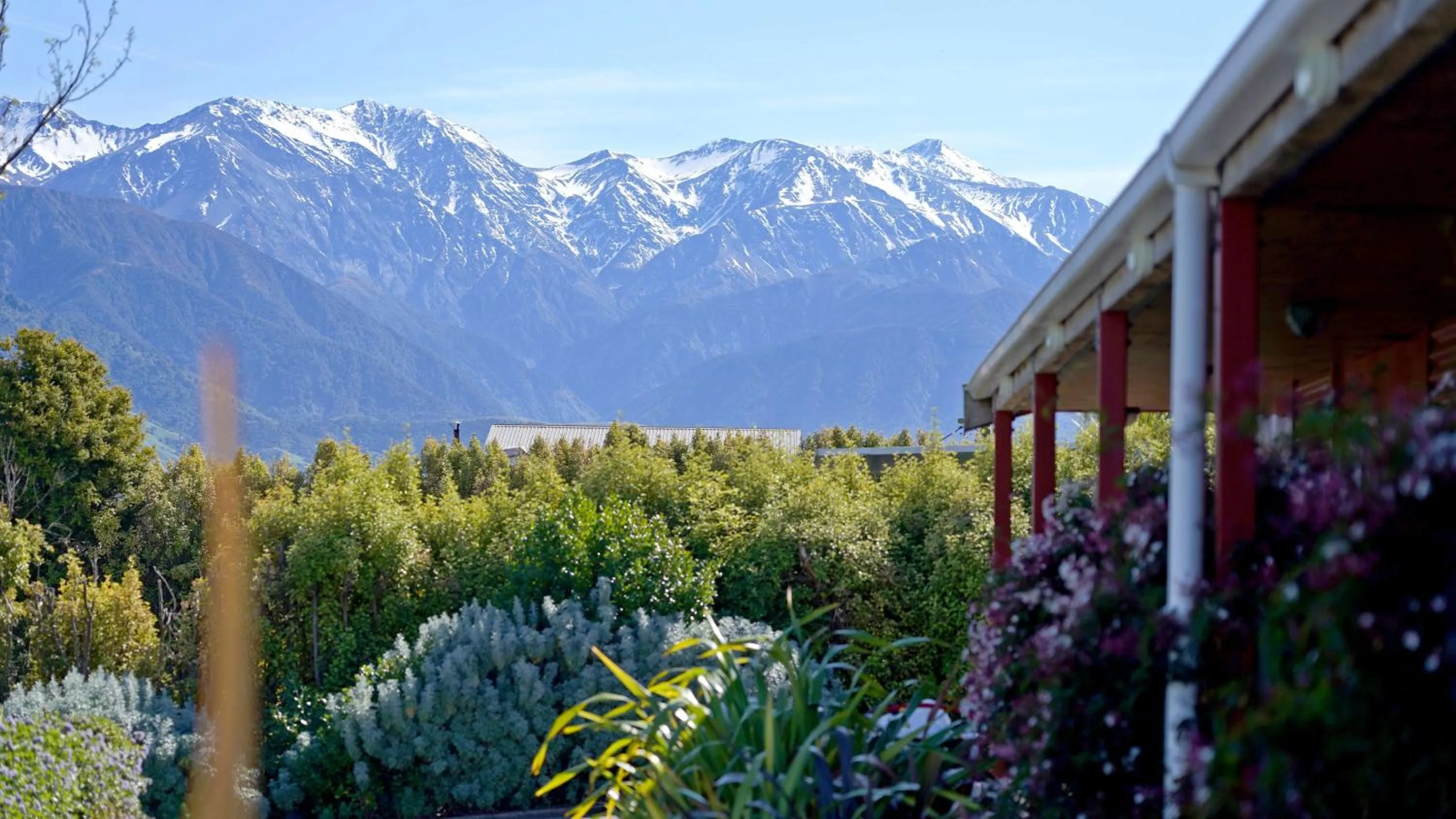 Patio in Alpine-Pacific Holiday Park