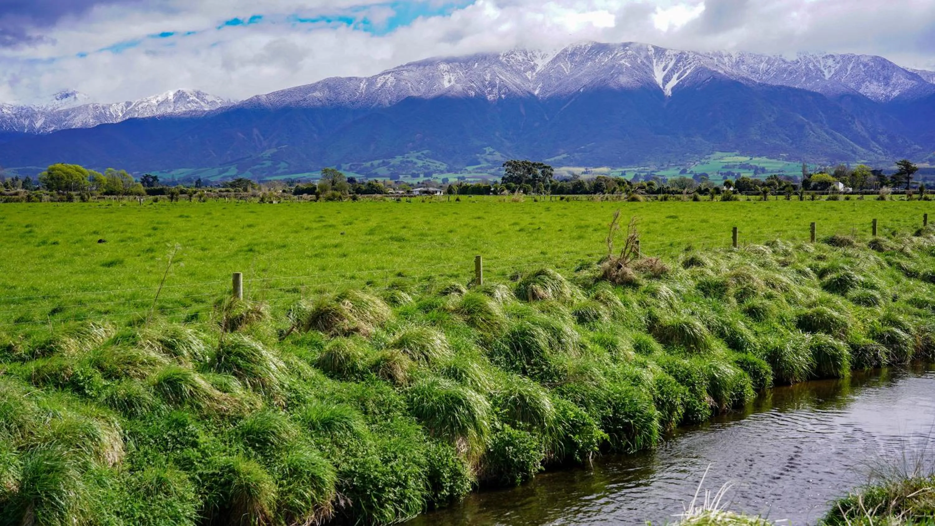 Natural landscape in Alpine-Pacific Holiday Park