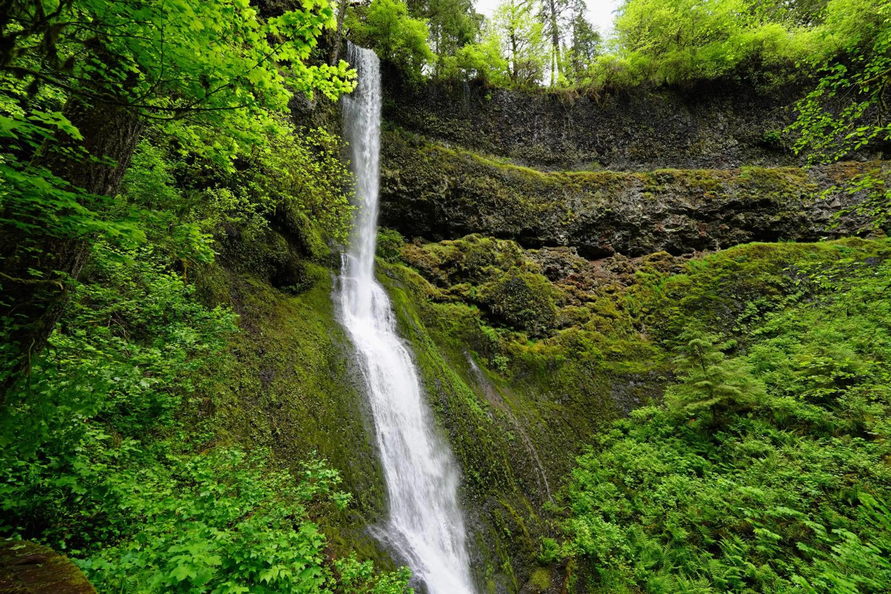Hiking in Jupiter Hotel