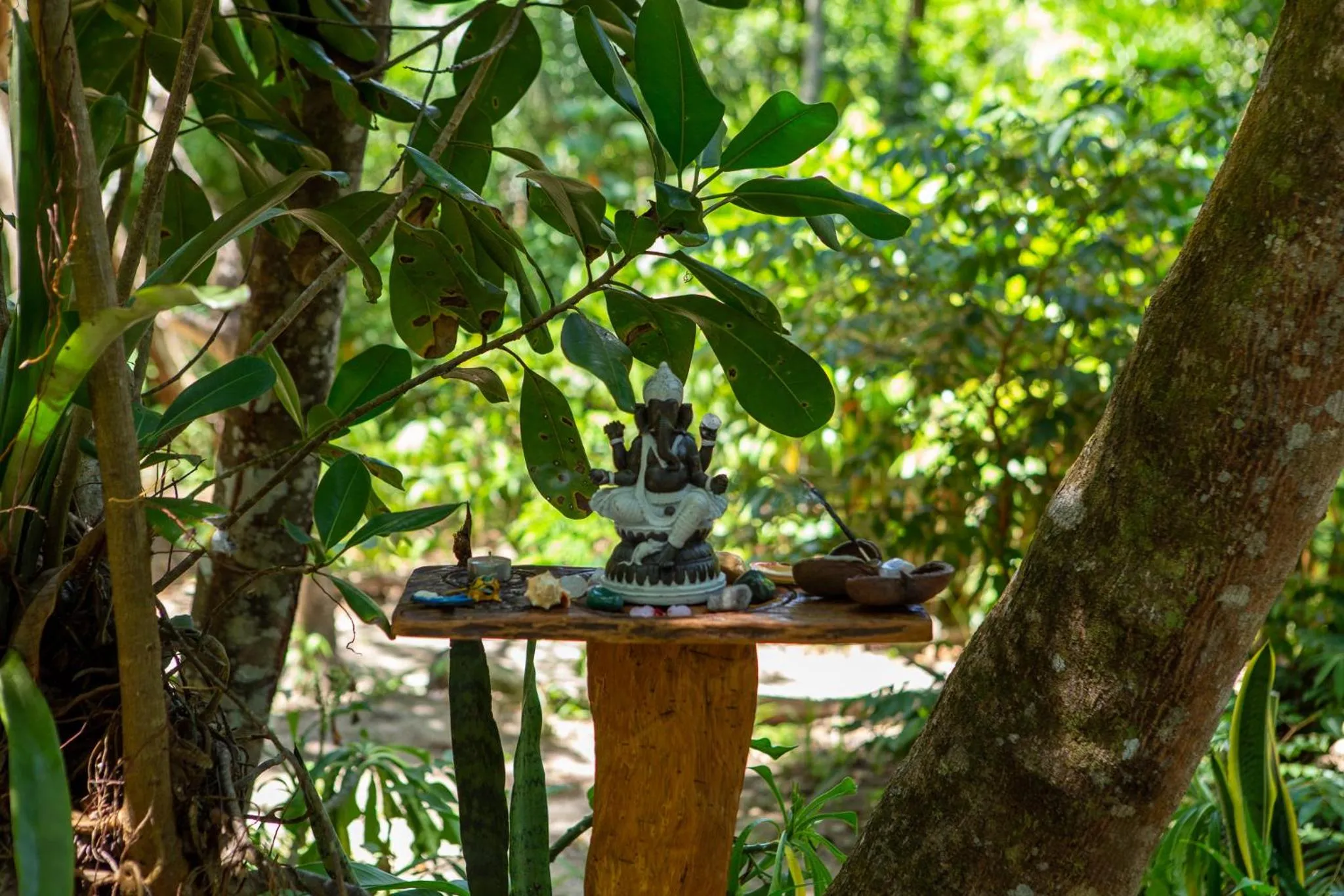Garden in Recanto dos Pássaros Zen Apartamentos em meio de Natureza