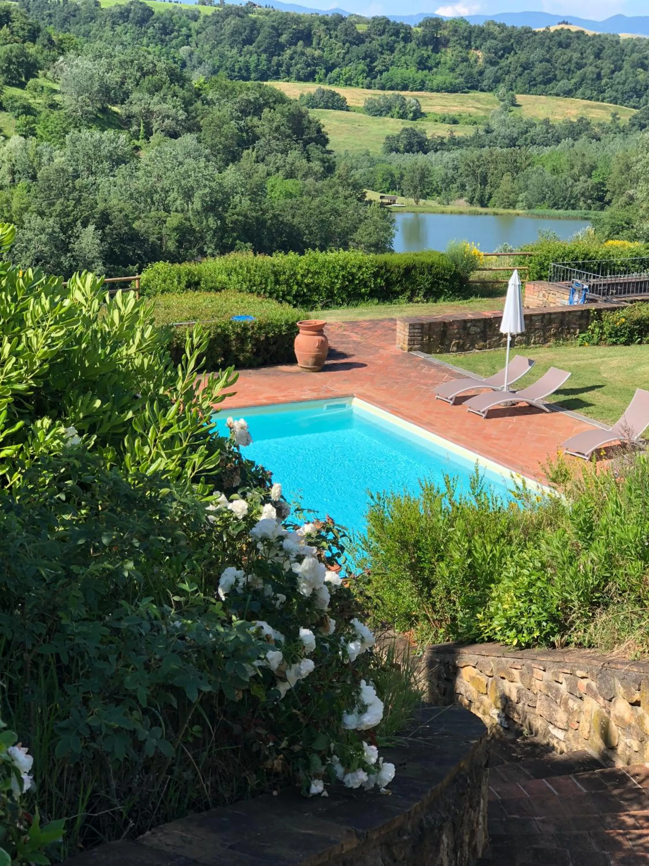 Pool view in Castellare Di Tonda