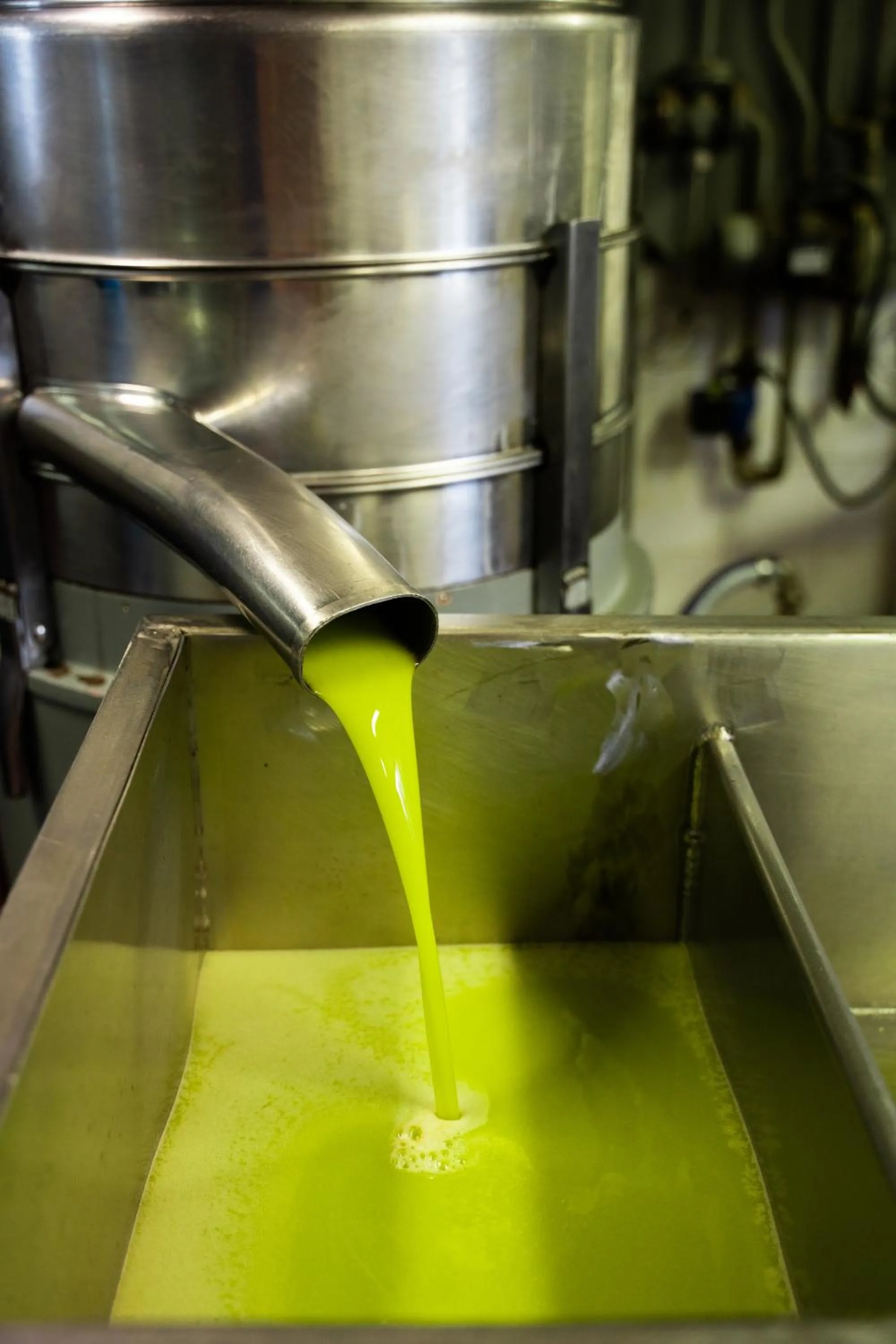 Restaurant/places to eat in Agriturismo Vecchio Borgo Di Inalbi