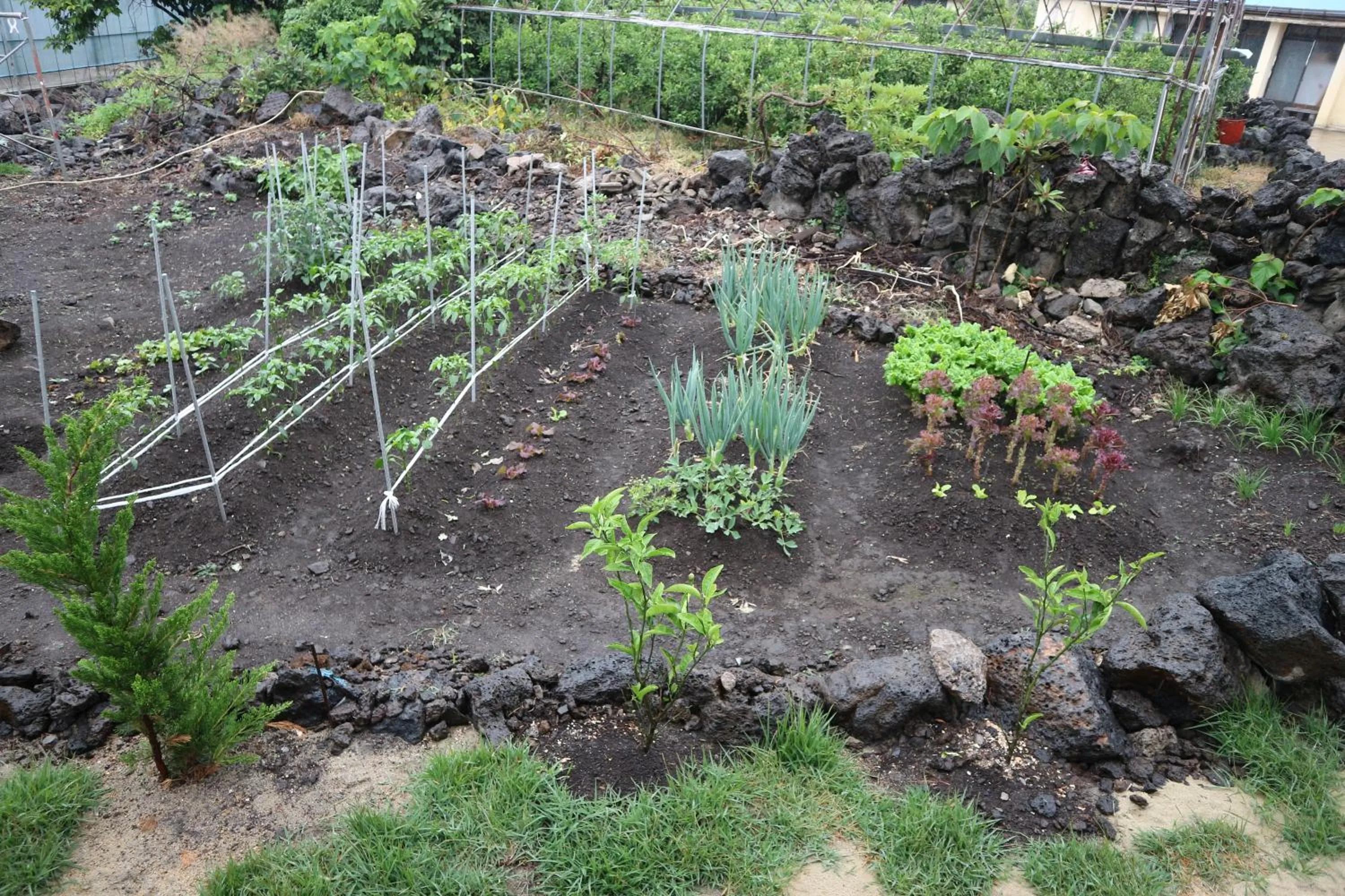 Blue Island Guesthouse
