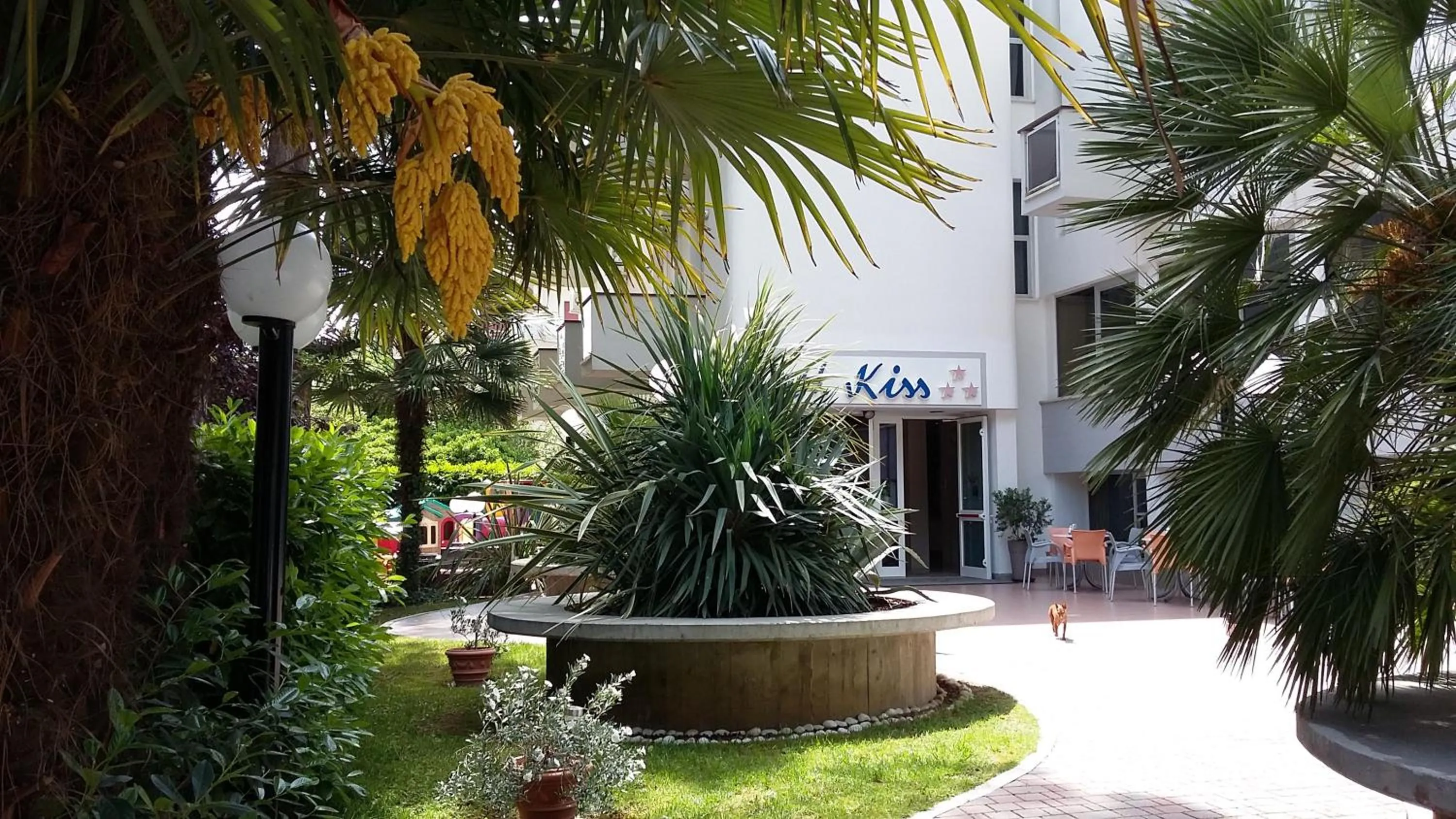 Property building in Hotel Kiss