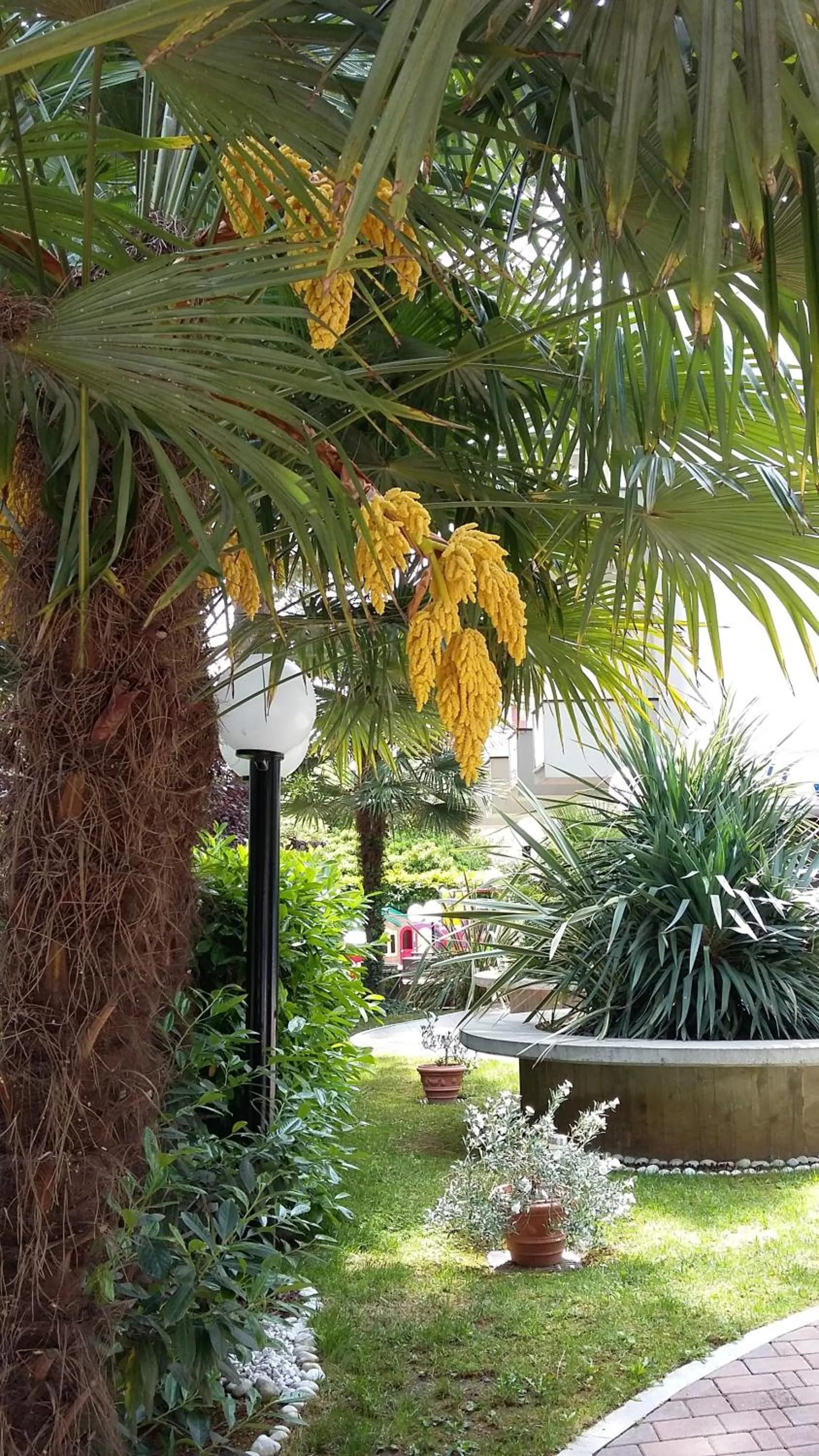 Garden in Hotel Kiss