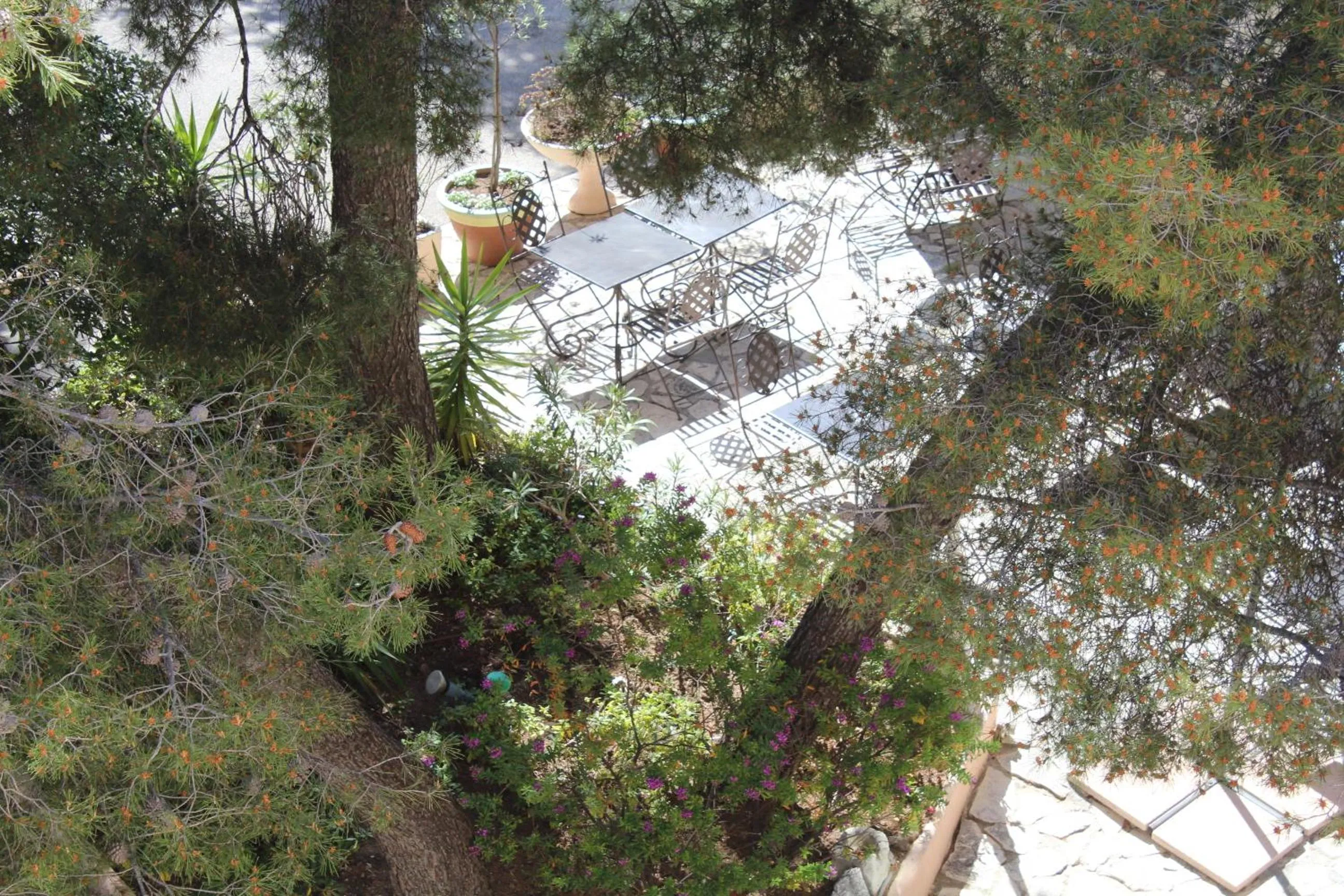 Garden in Hôtel Le Clos des Pins