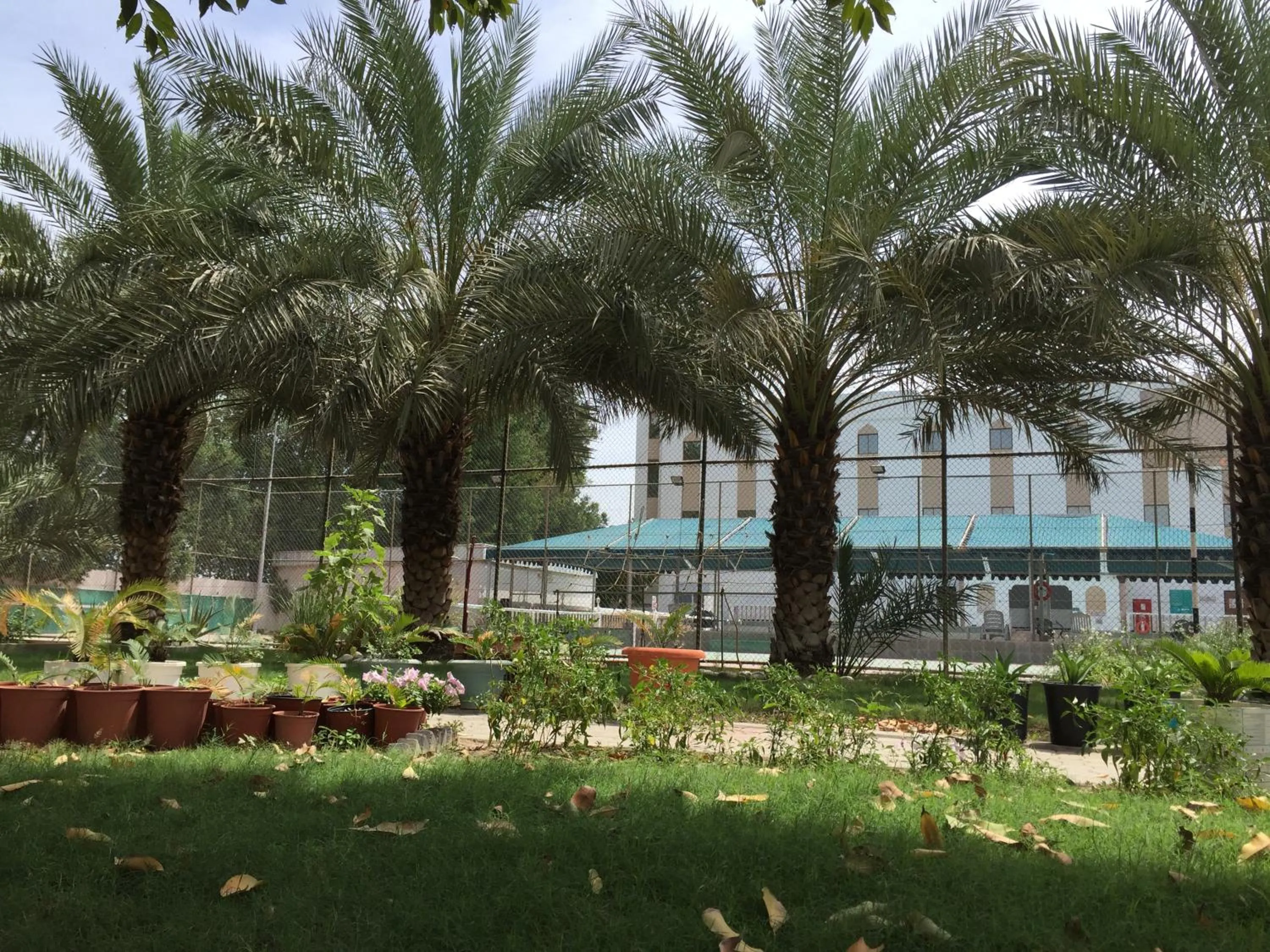 Hotel Al Madinah Holiday