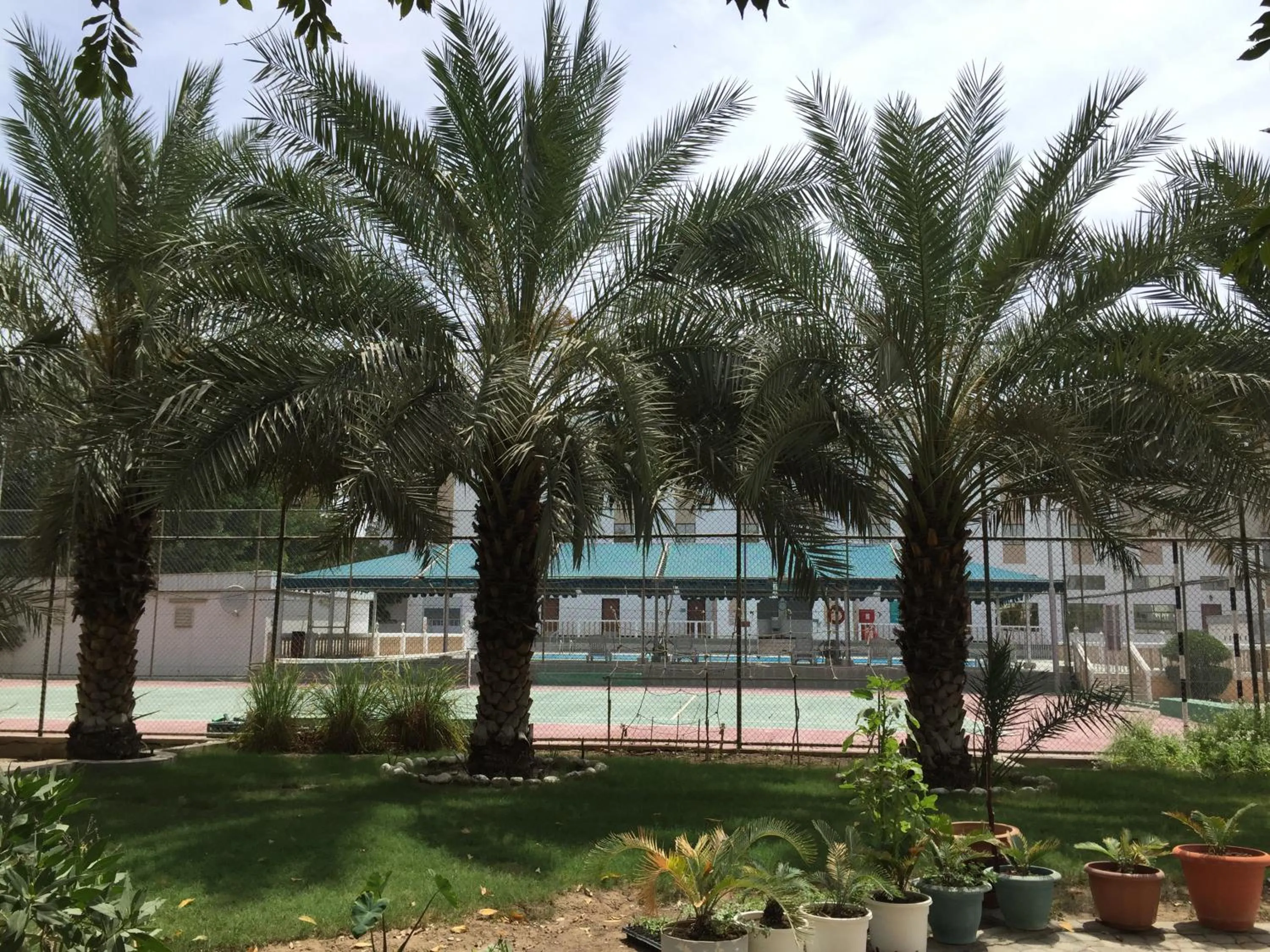 Hotel Al Madinah Holiday