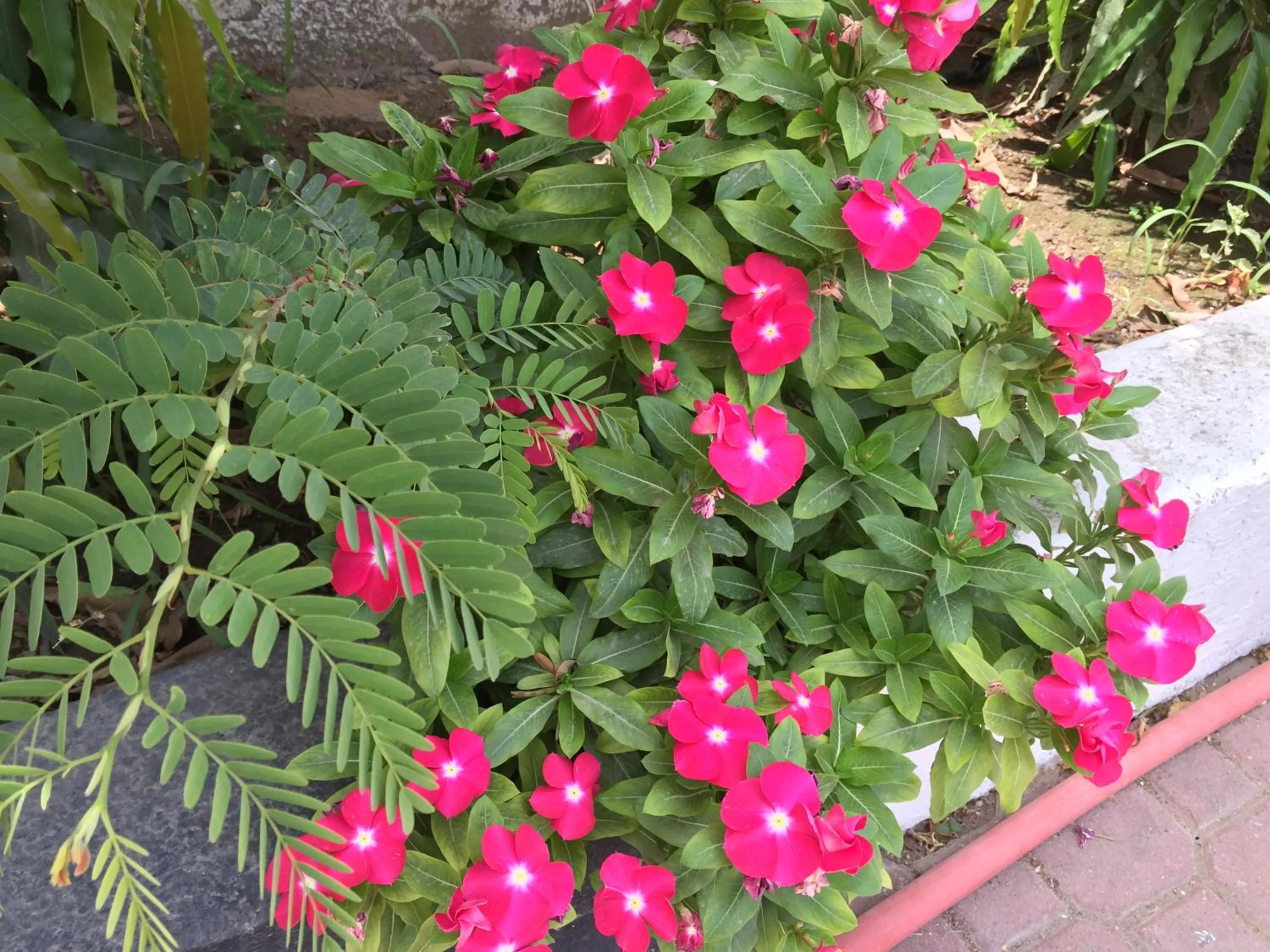 Hotel Al Madinah Holiday