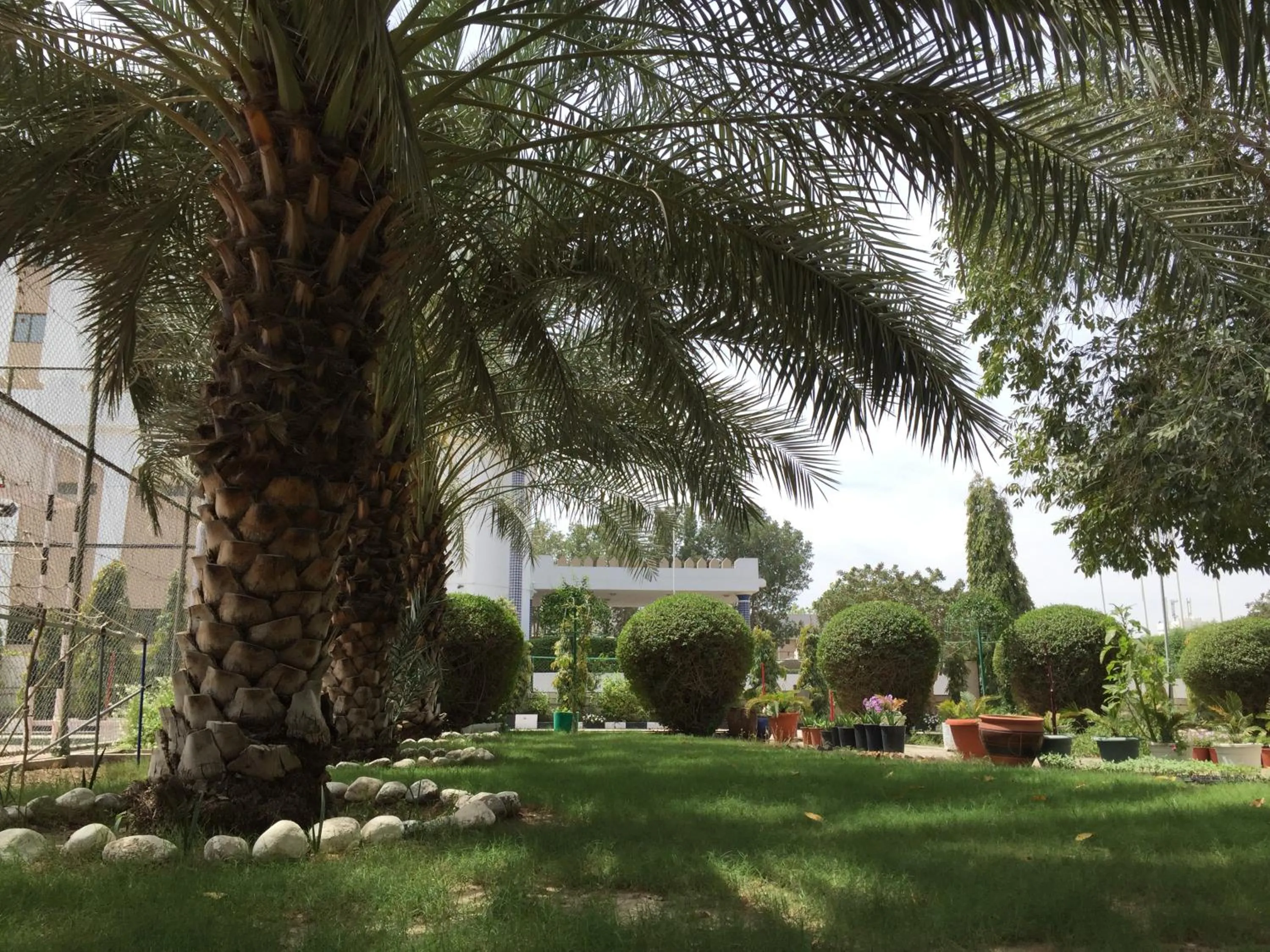 Natural landscape in Hotel Al Madinah Holiday