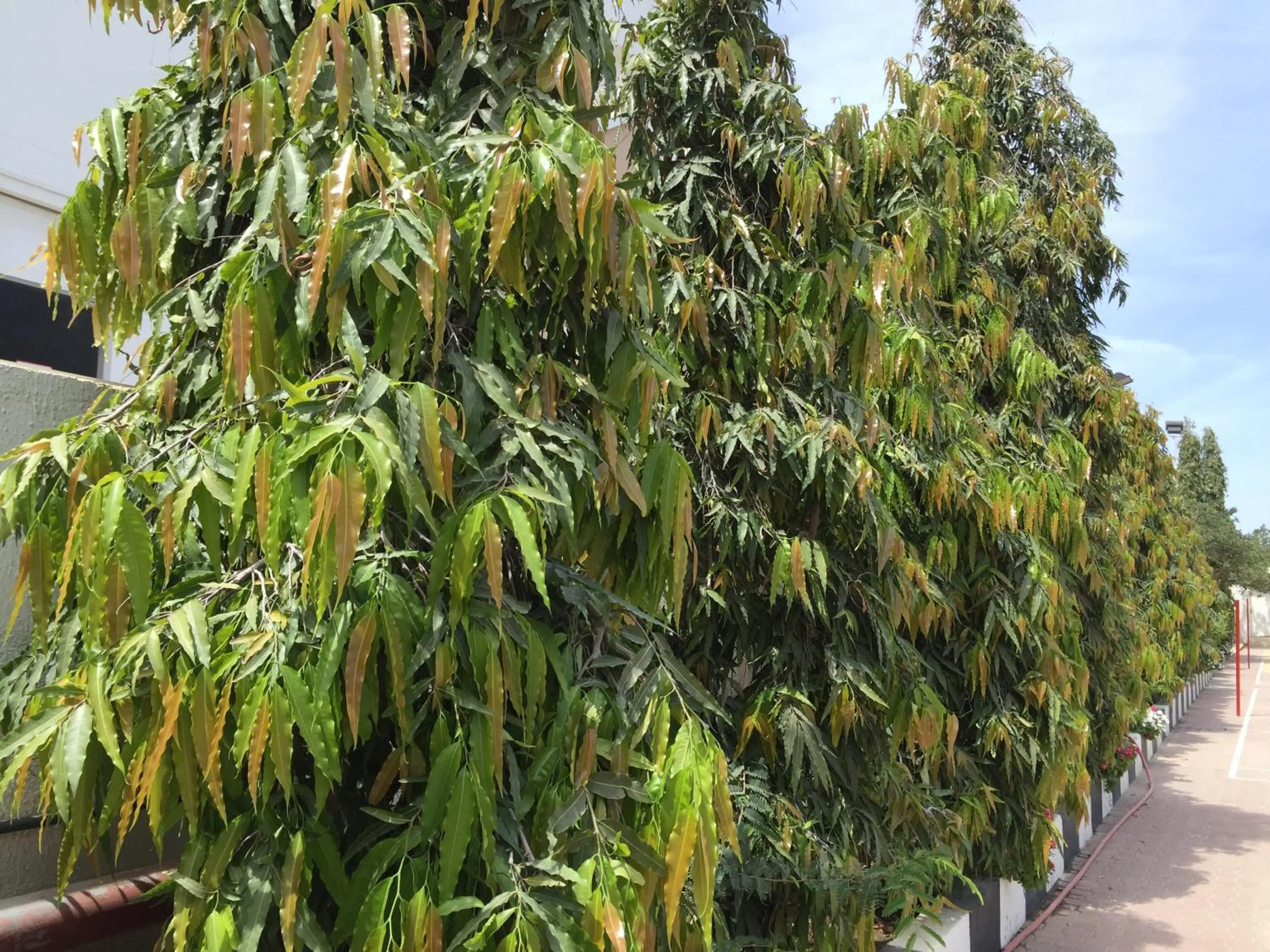 Hotel Al Madinah Holiday