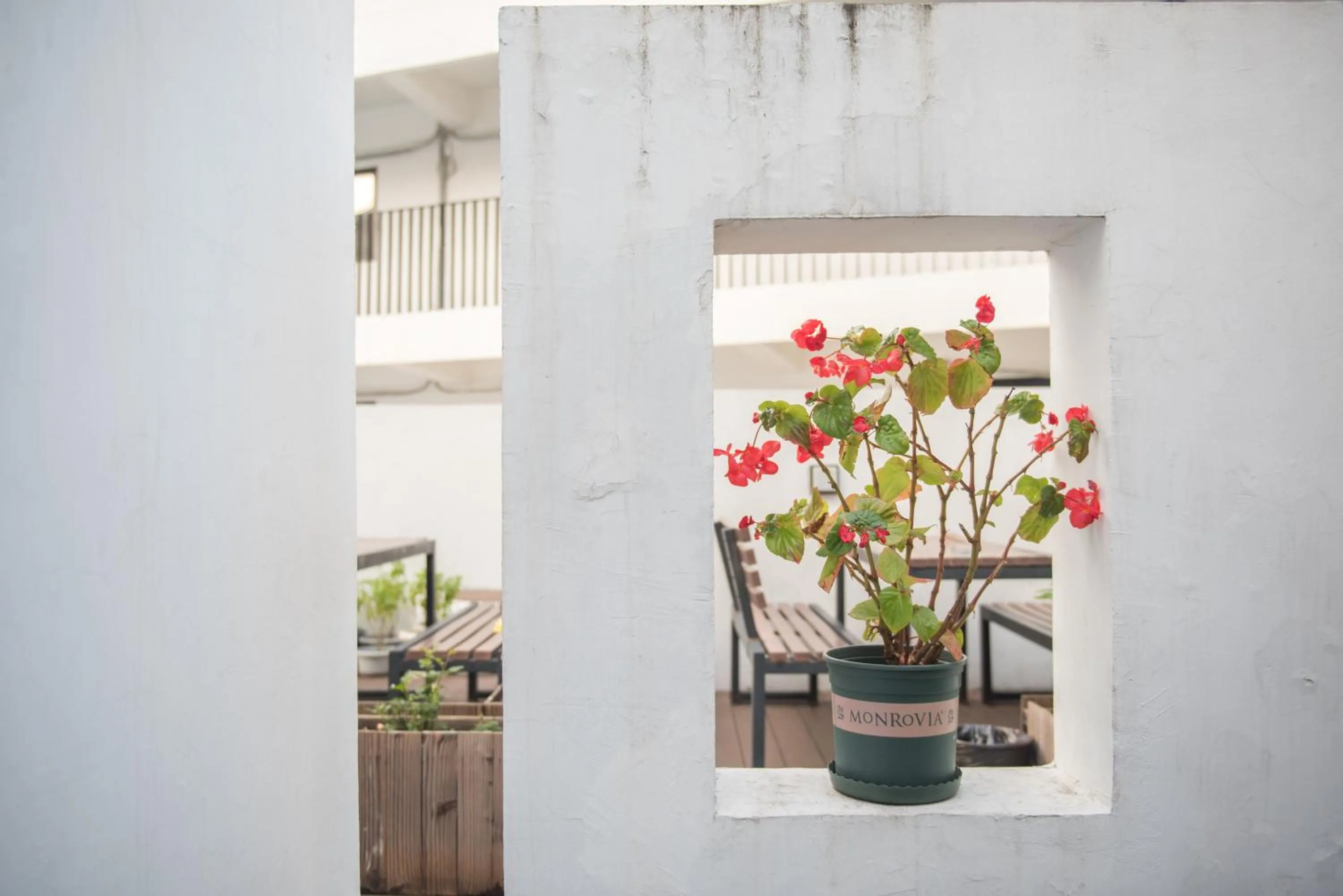 Garden view in Dayin International Youth Hostel - Oriental Pearl & Lujiazui