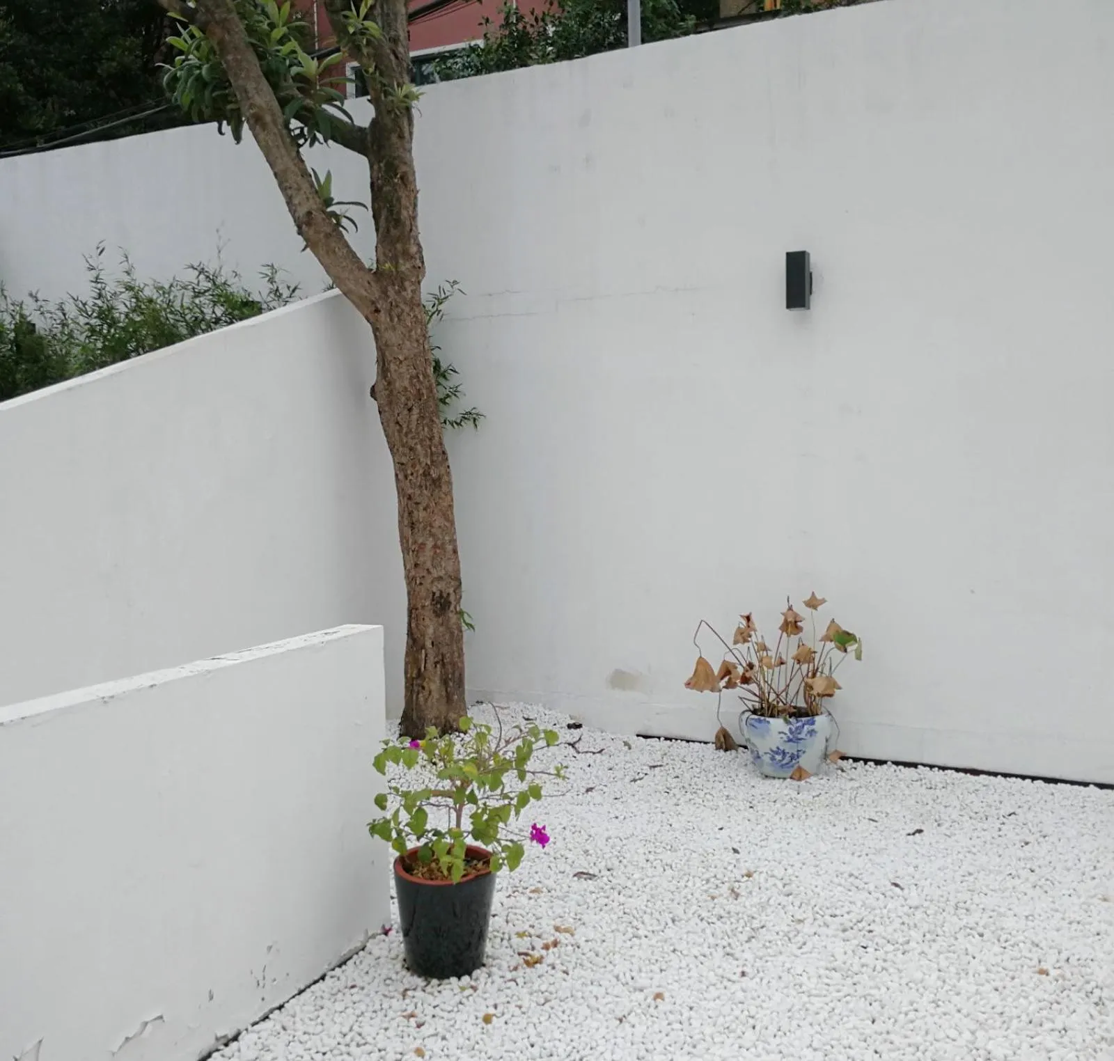 Inner courtyard view in Dayin International Youth Hostel - Oriental Pearl & Lujiazui