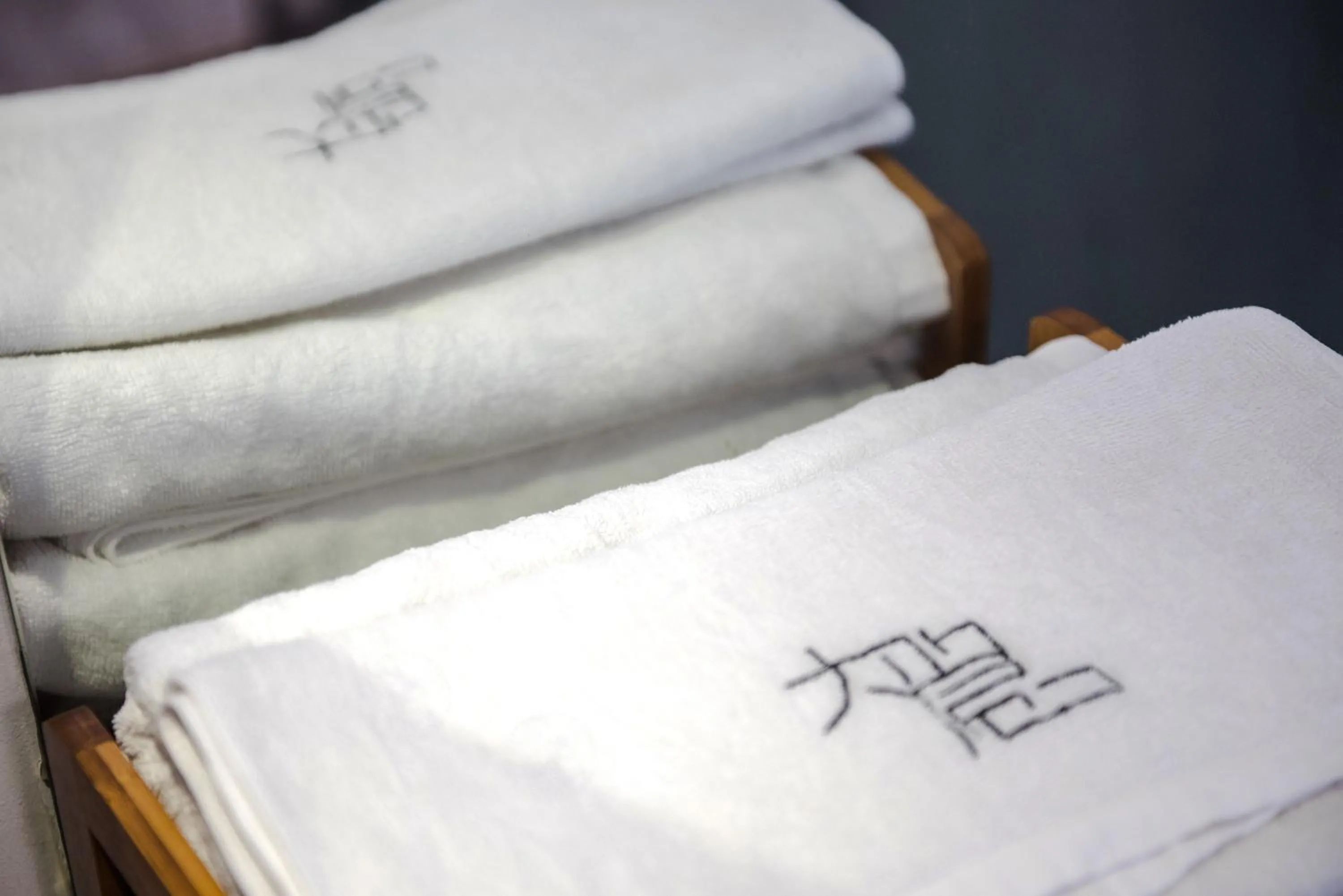 Property logo or sign in Dayin International Youth Hostel - Oriental Pearl & Lujiazui