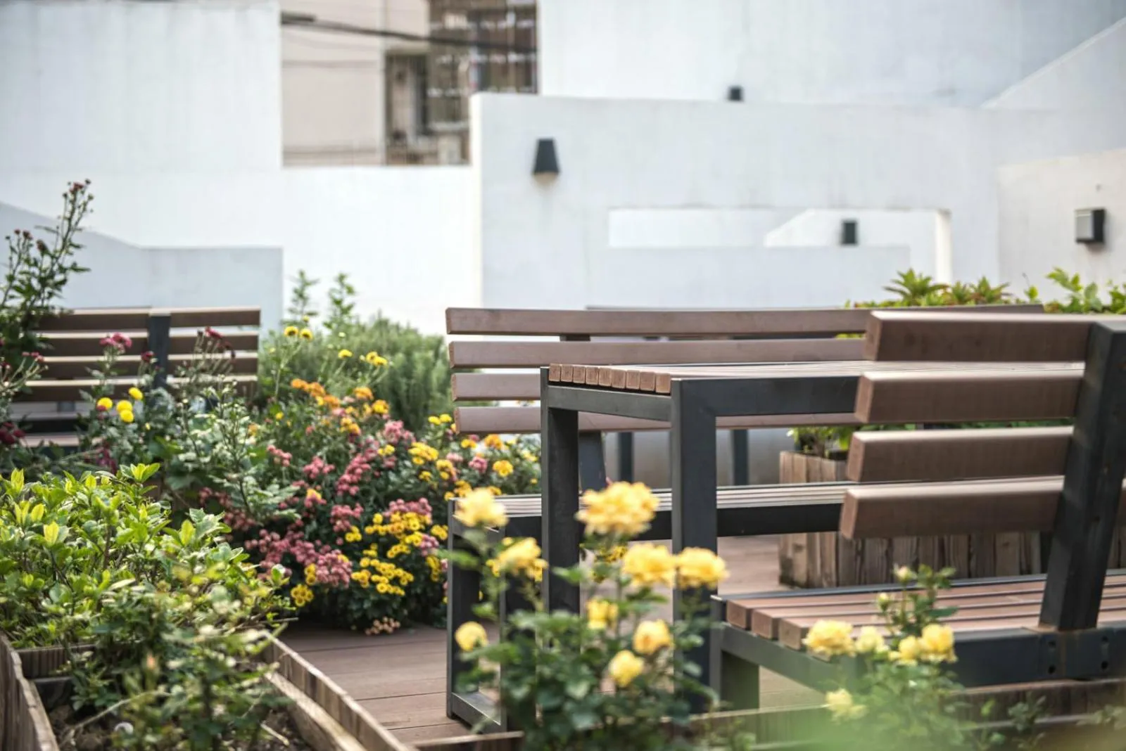 Garden view in Dayin International Youth Hostel - Oriental Pearl & Lujiazui