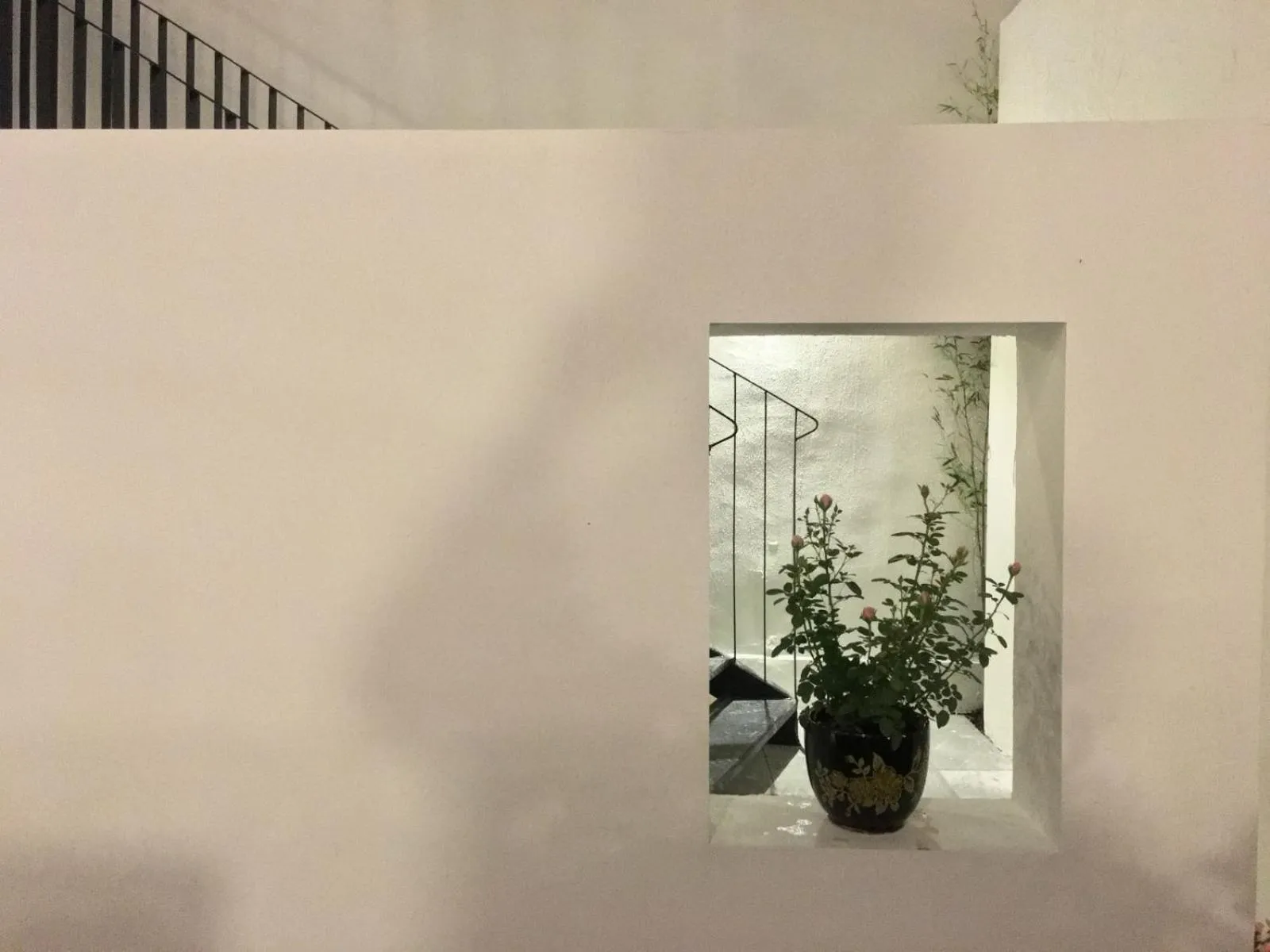 Garden view in Dayin International Youth Hostel - Oriental Pearl & Lujiazui