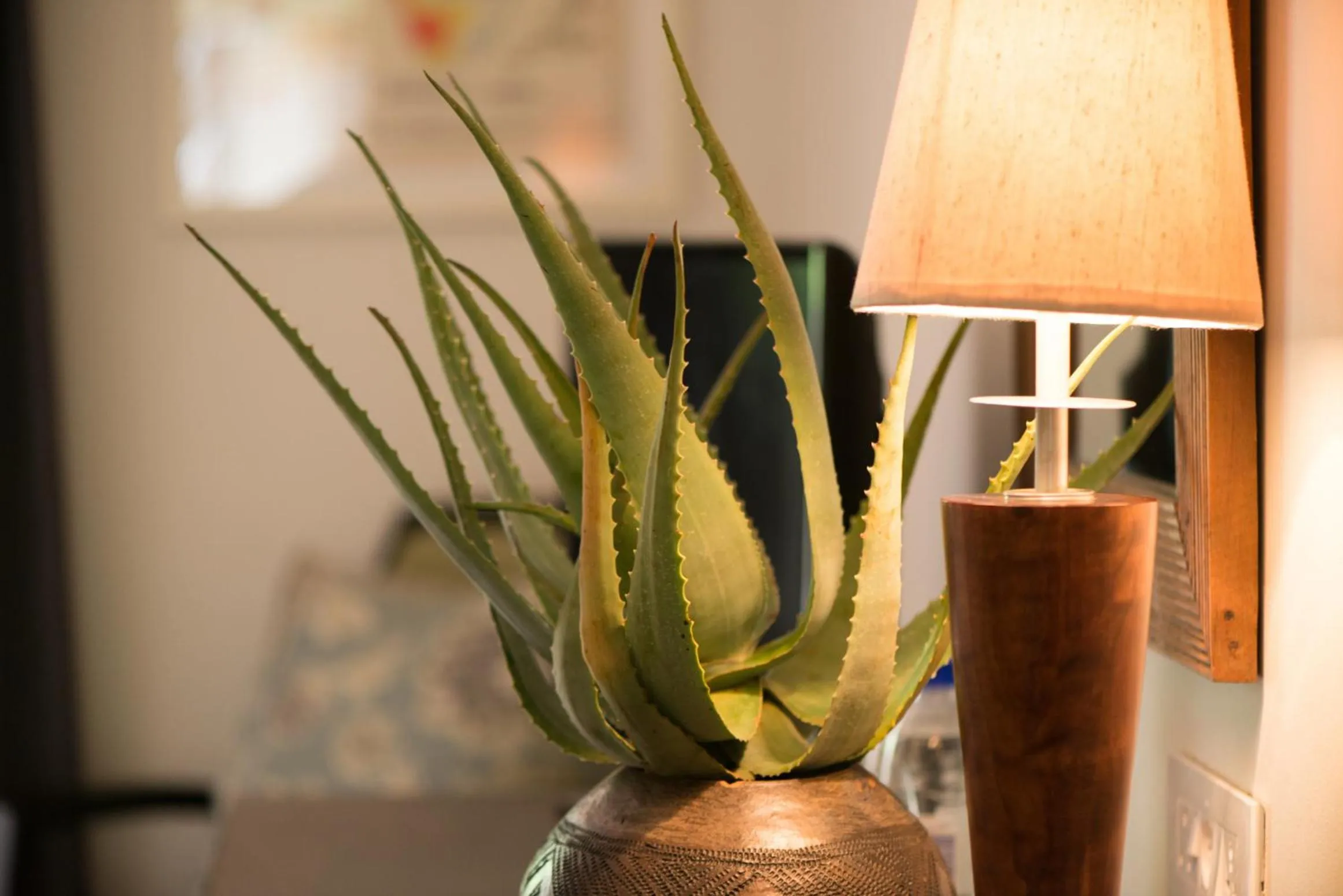 Decorative detail in Ghost Mountain Inn