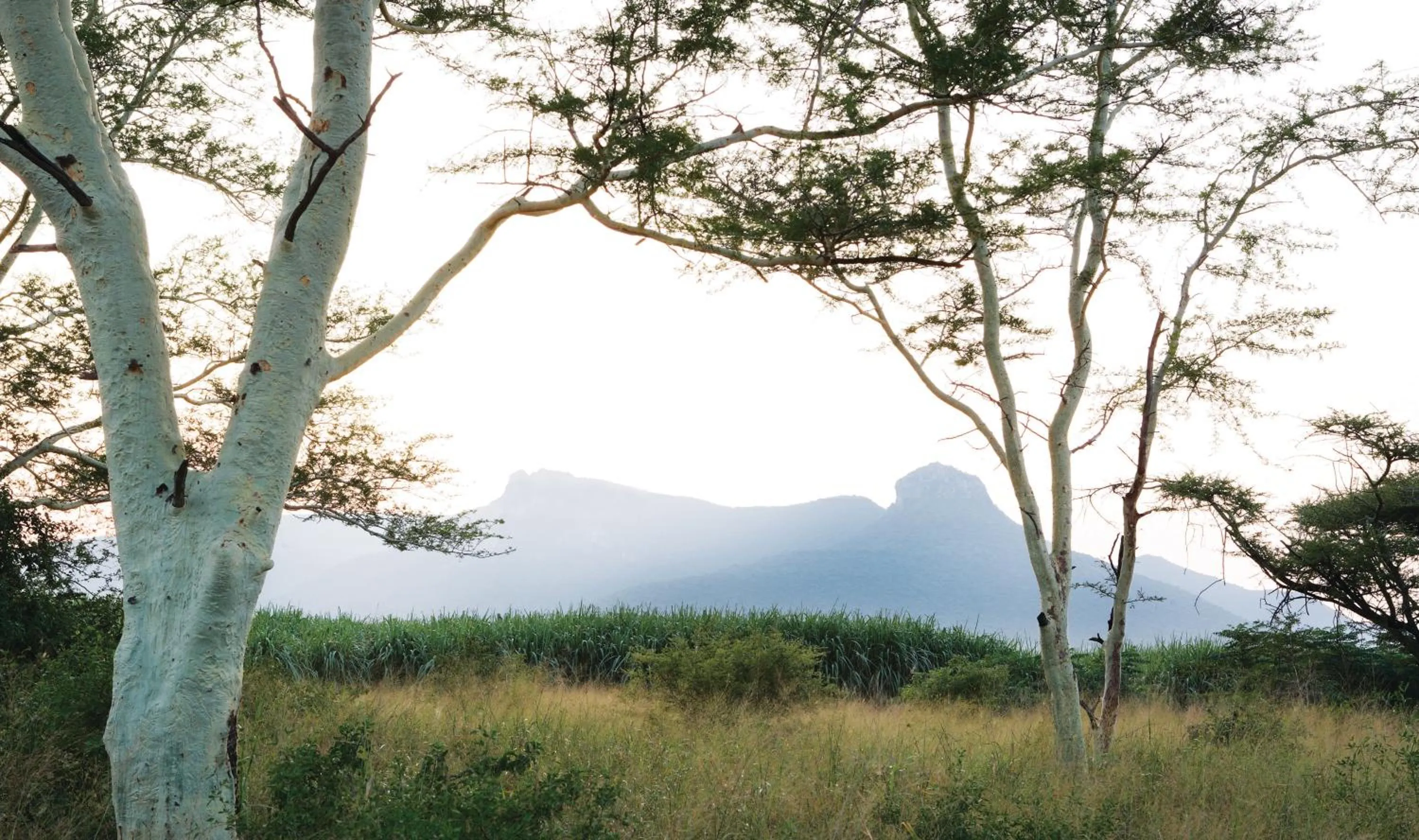 View (from property/room) in Ghost Mountain Inn