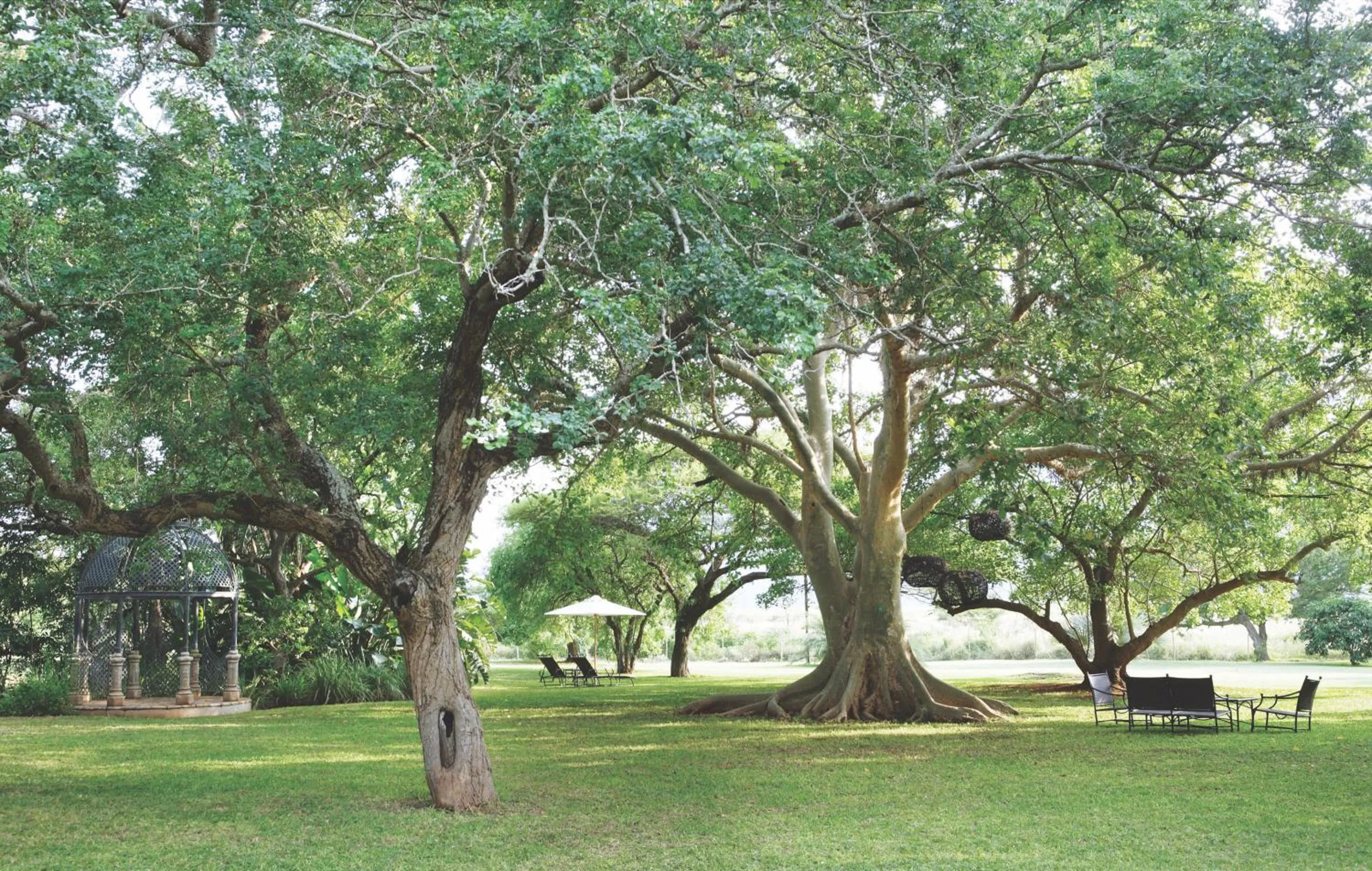 Garden in Ghost Mountain Inn