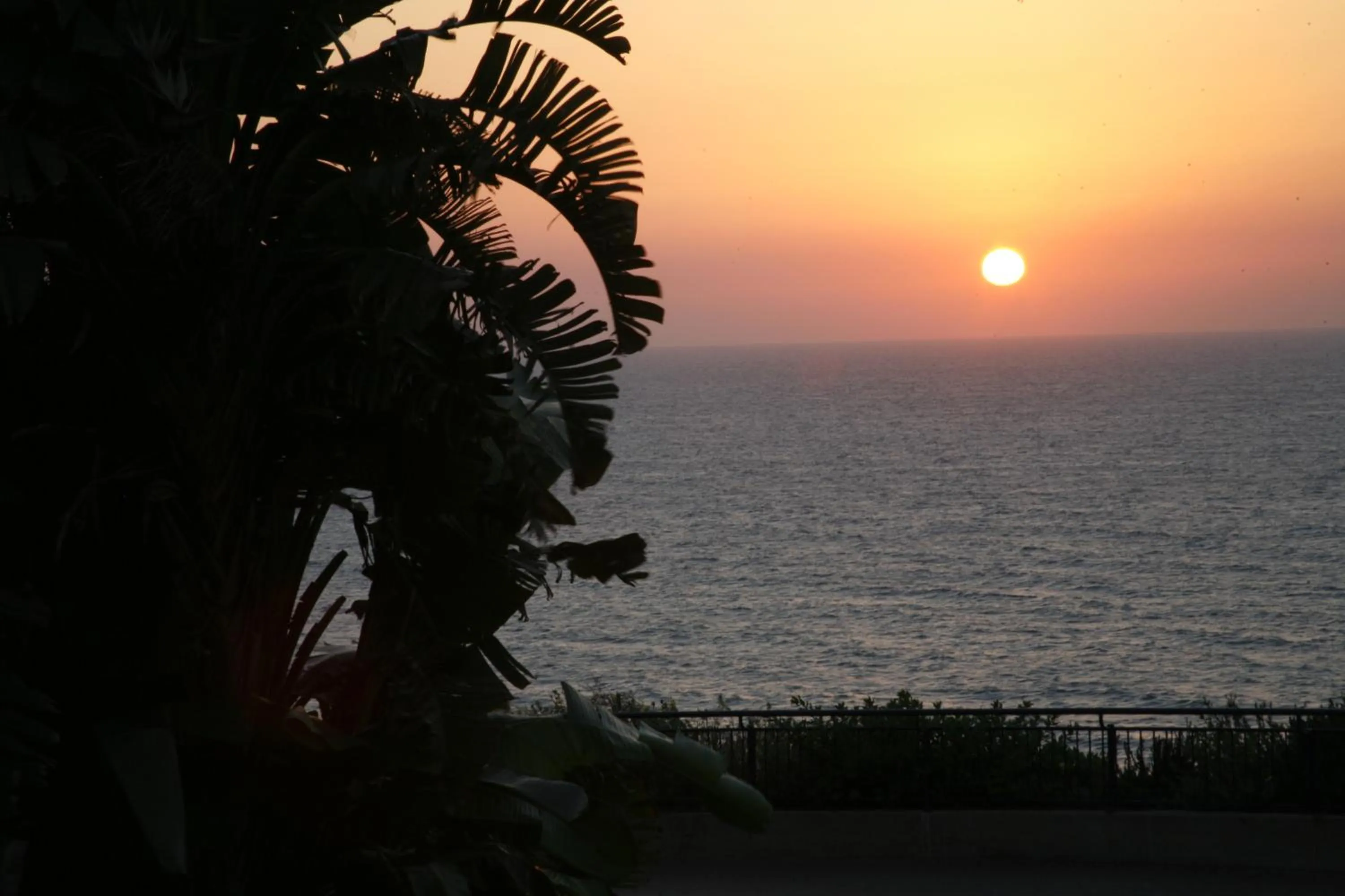 View (from property/room) in King Solomon Hotel