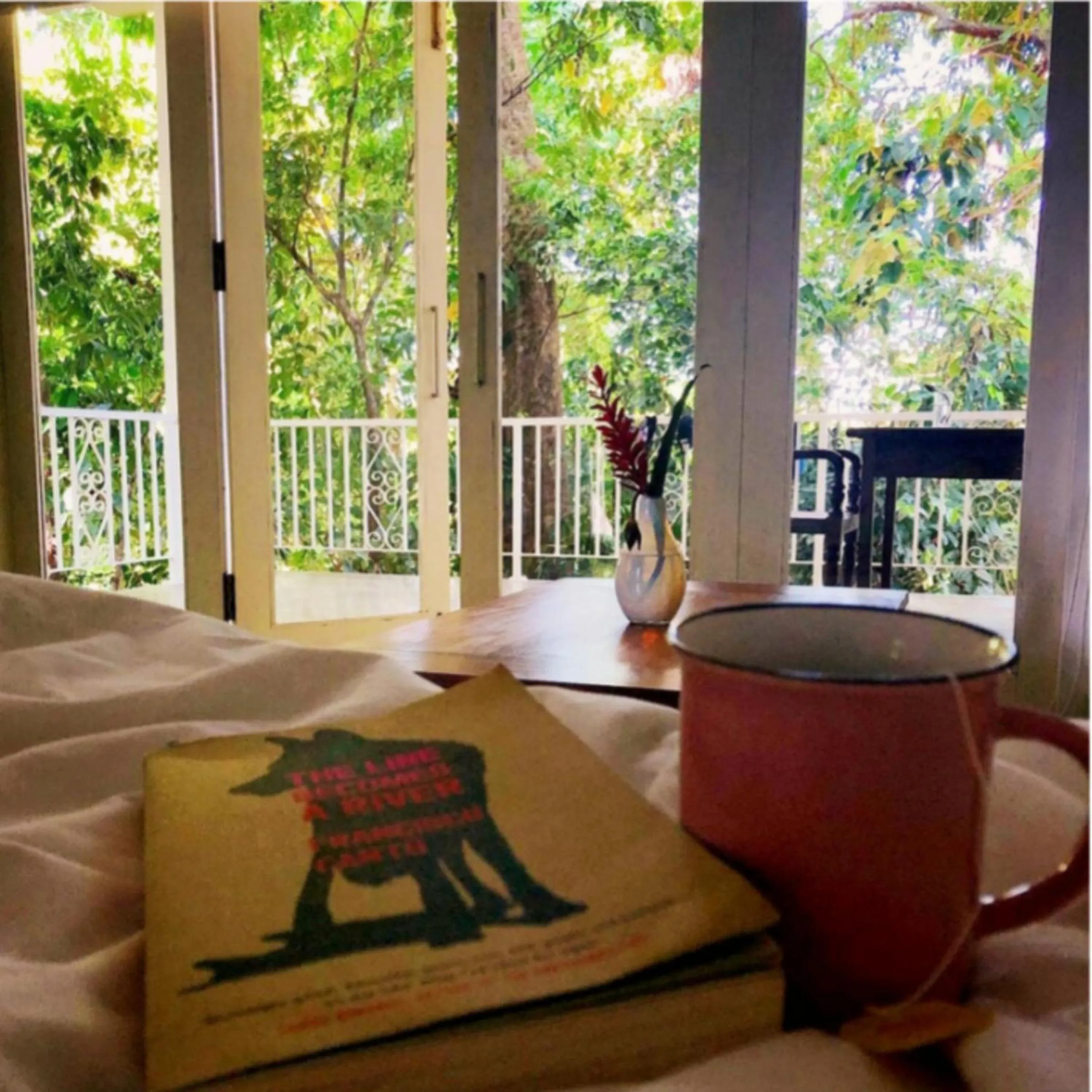 View (from property/room) in Ceylon Olive Galle