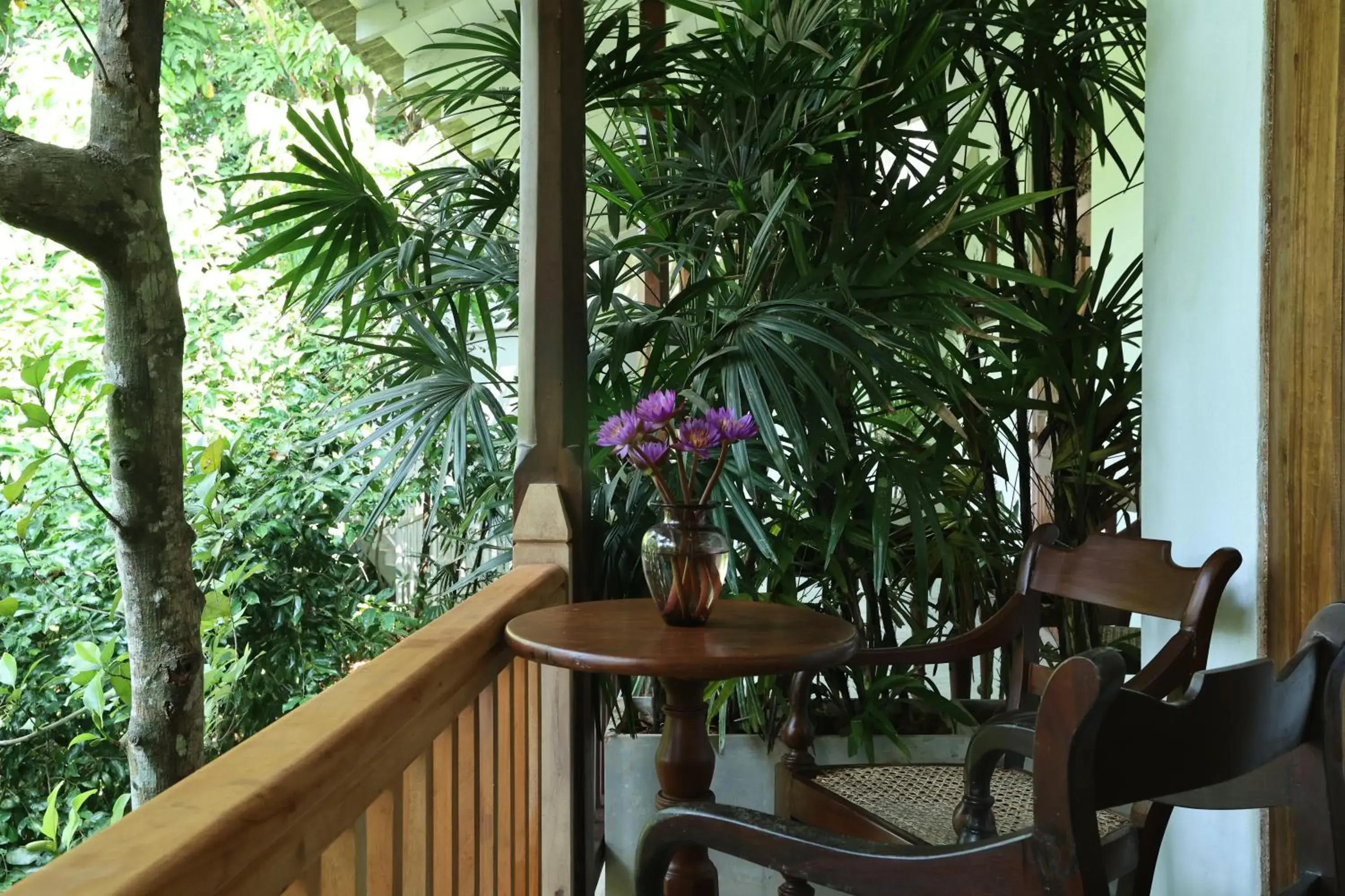 Small Double Room - single occupancy in Ceylon Olive Galle Small Double Room - single occupancy in Ceylon Olive Galle