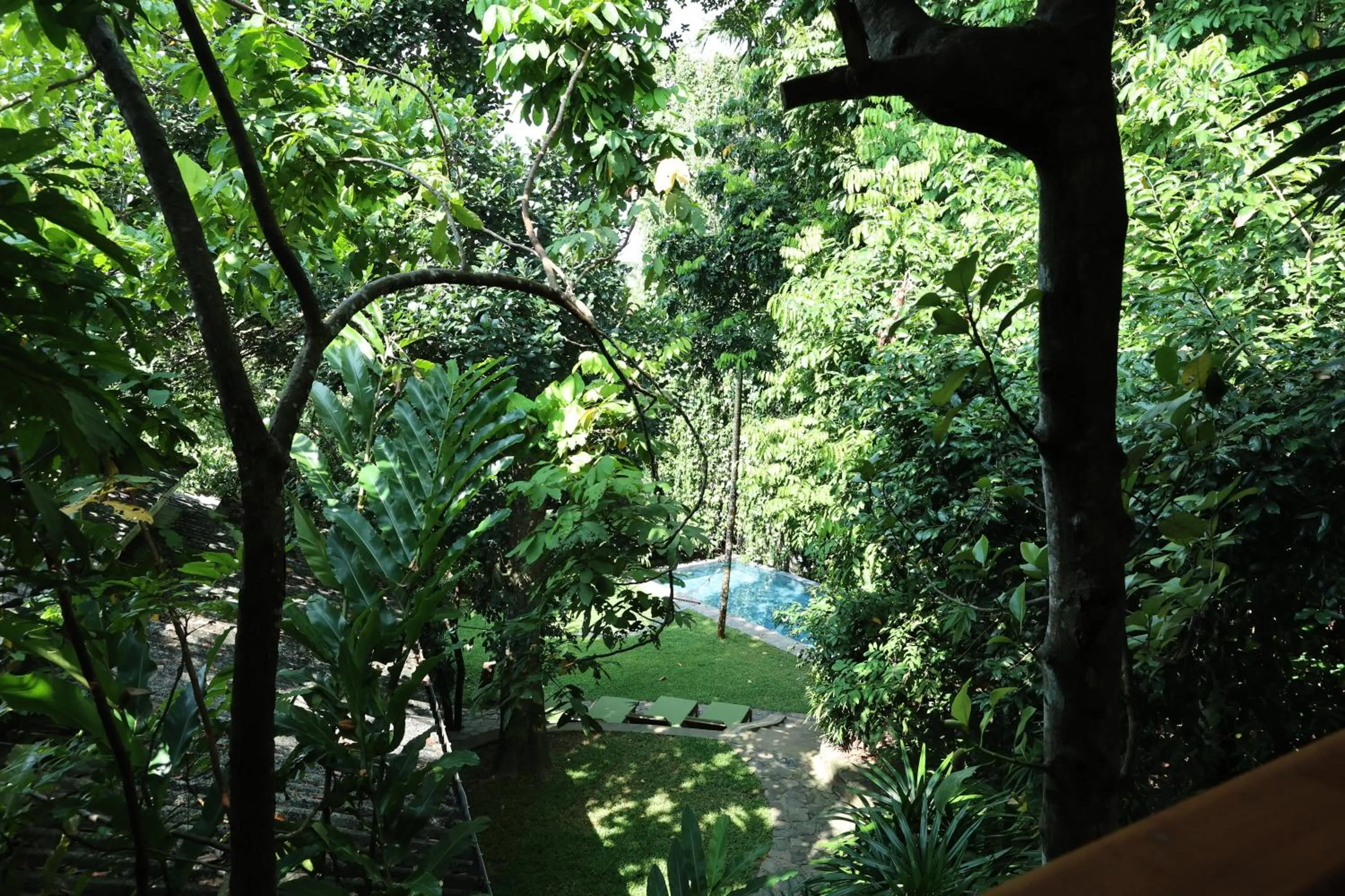 View (from property/room) in Ceylon Olive Galle