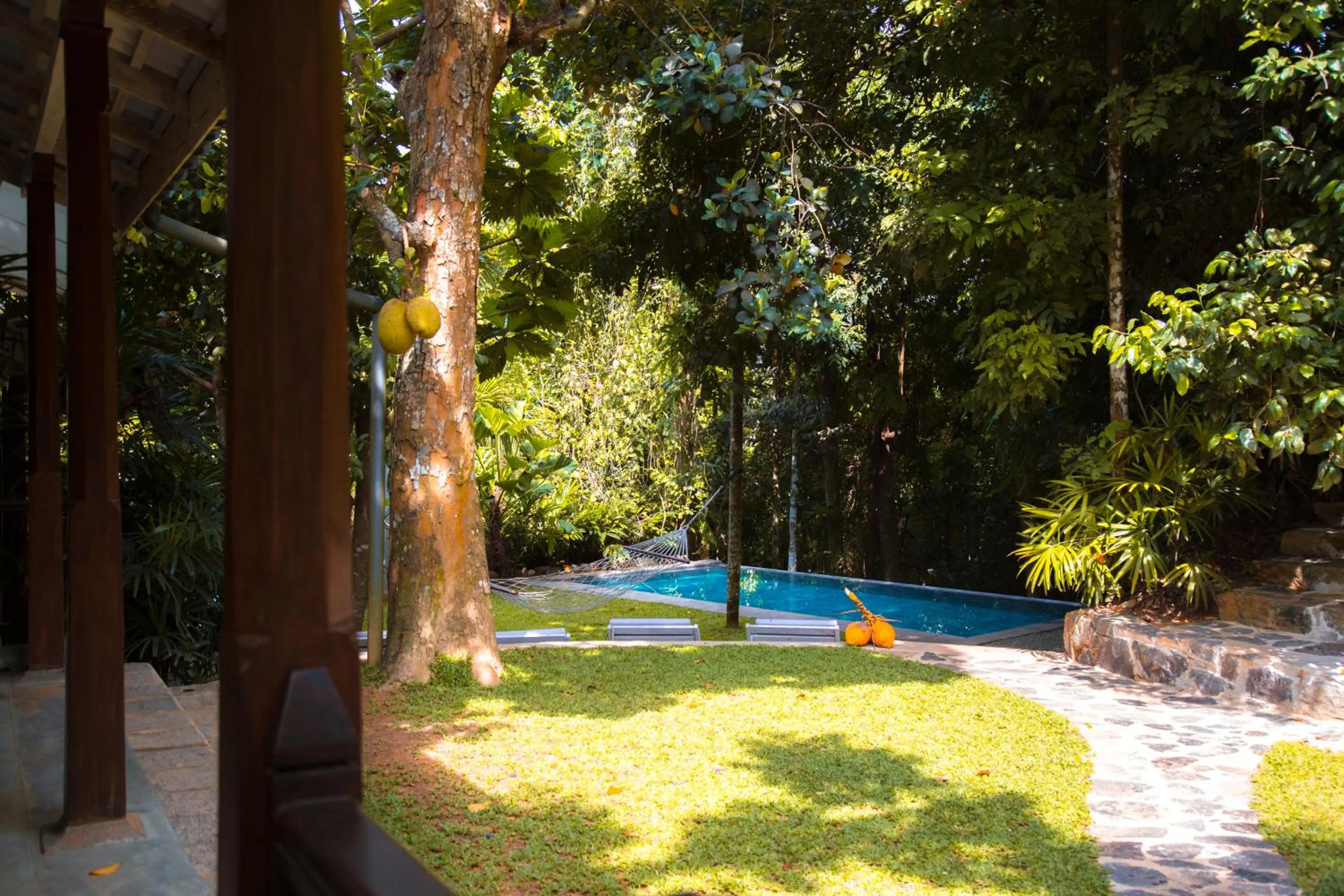 Garden in Ceylon Olive Galle