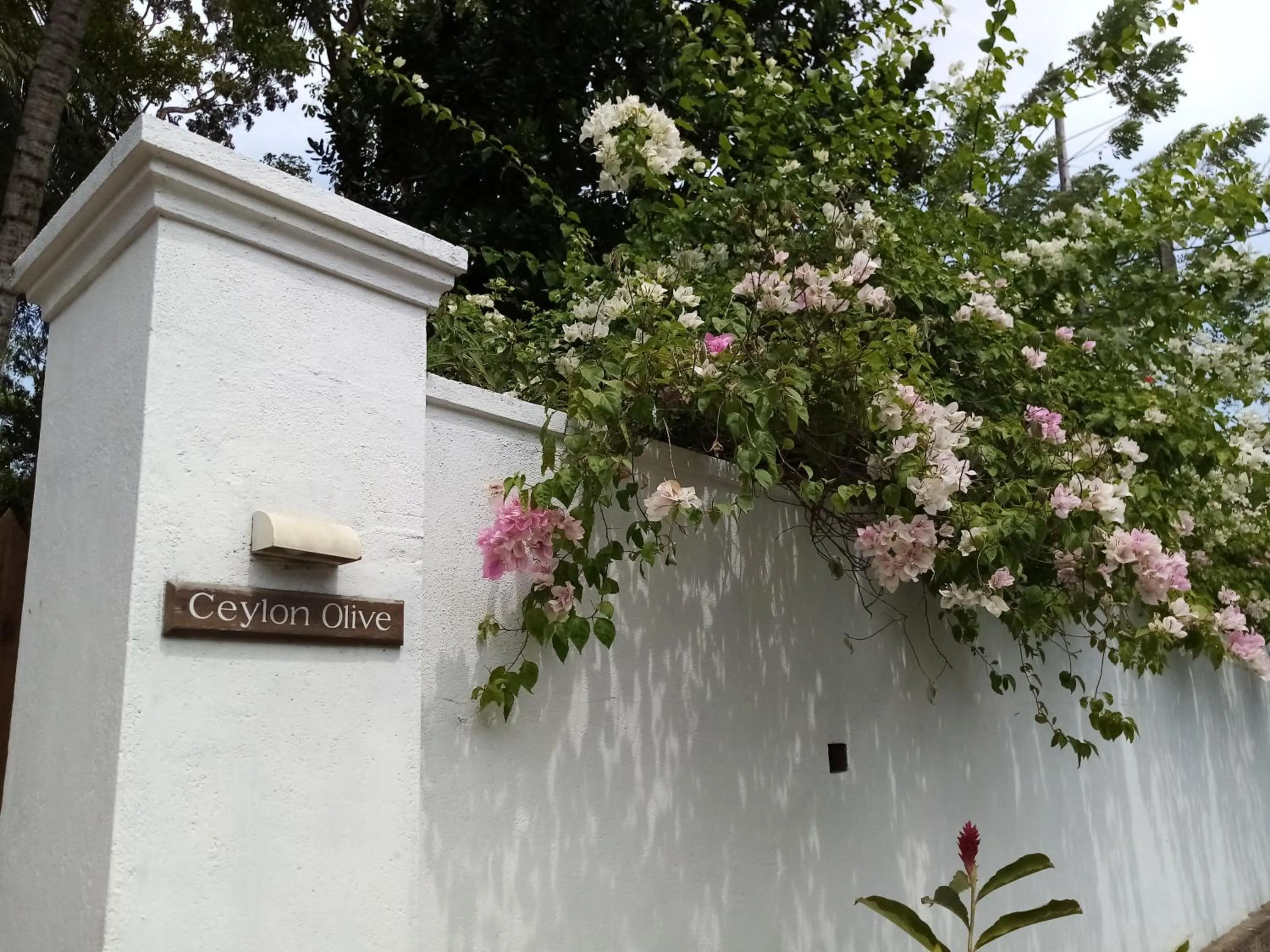 Facade/entrance in Ceylon Olive Galle