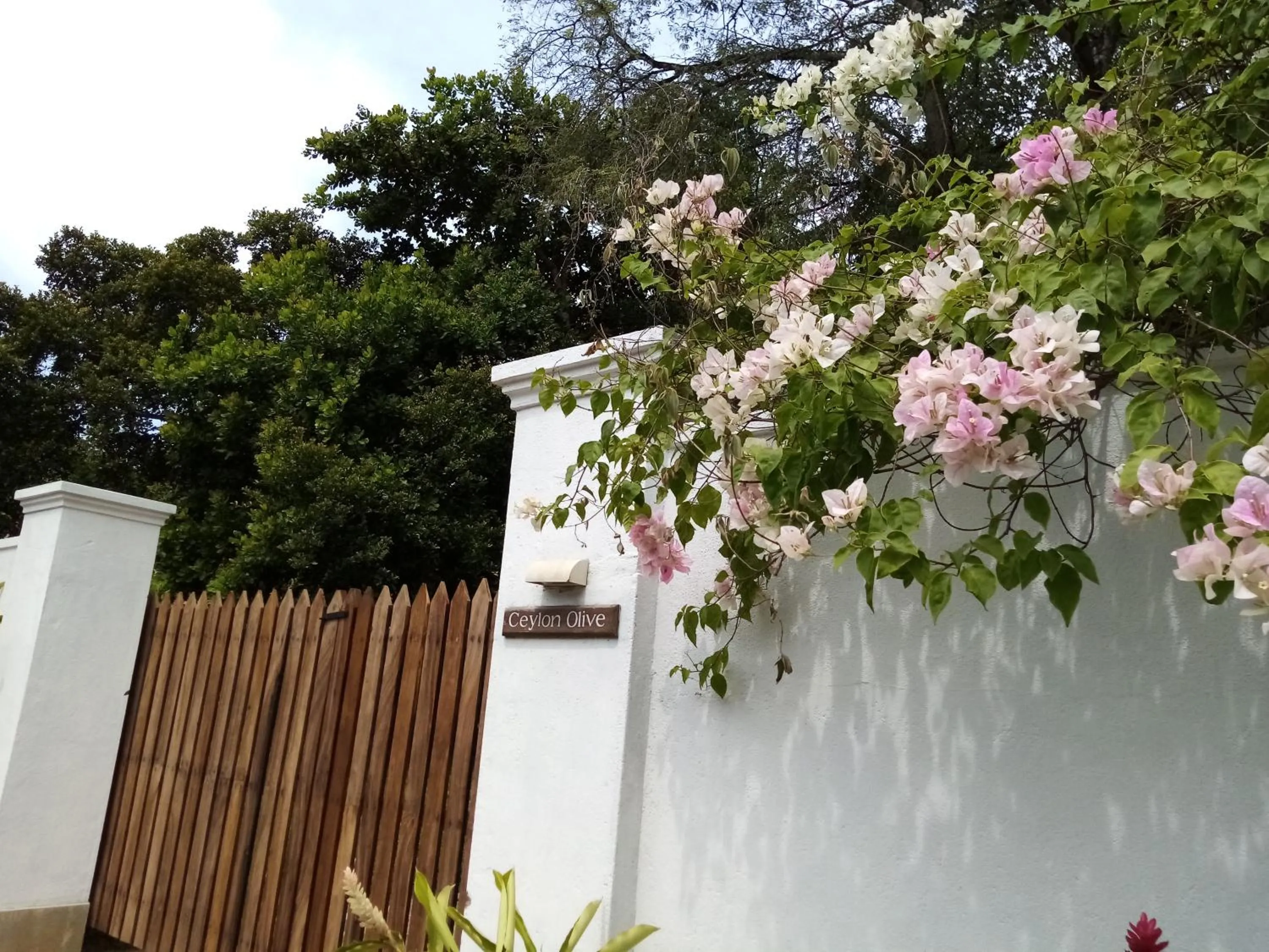 Facade/entrance in Ceylon Olive Galle