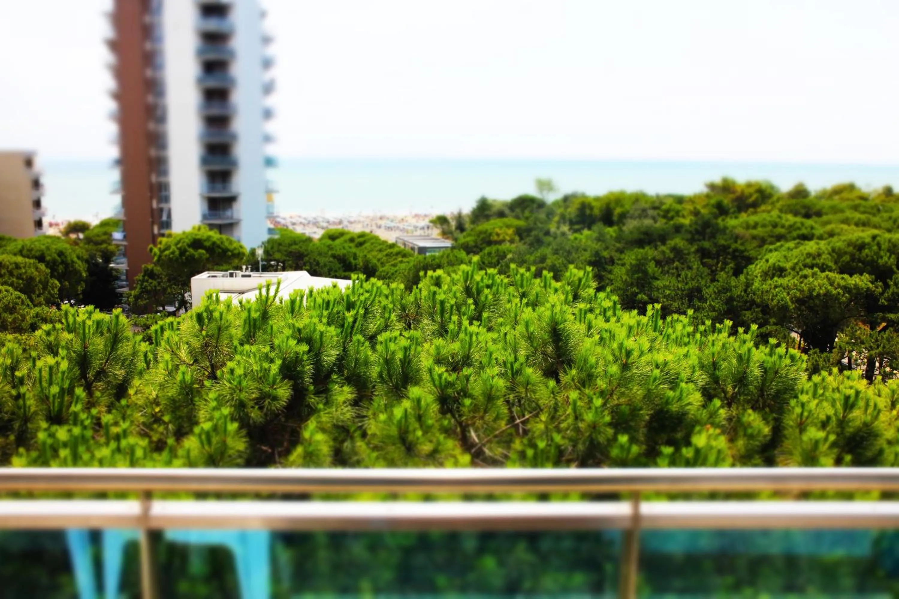 Balcony/Terrace in Hotel Cristallo