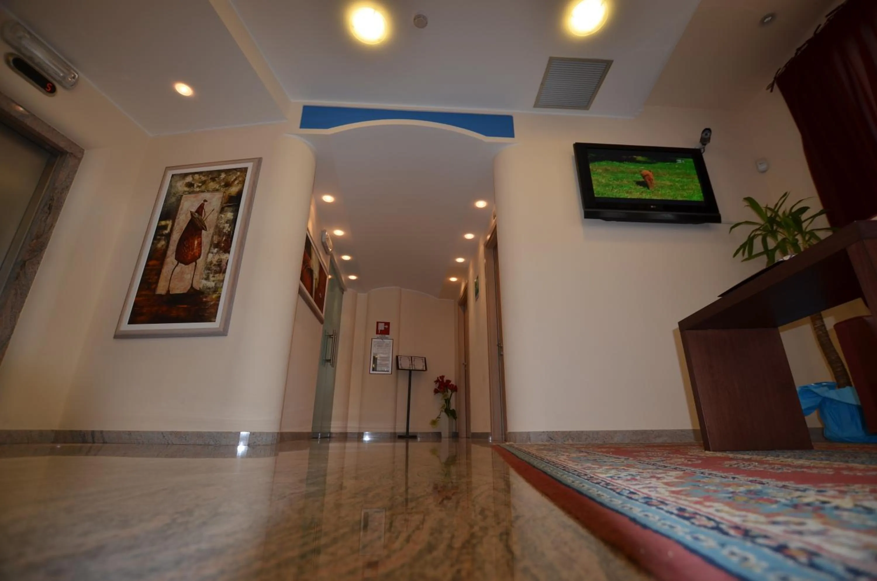 Area and facilities in Hotel Cristallo