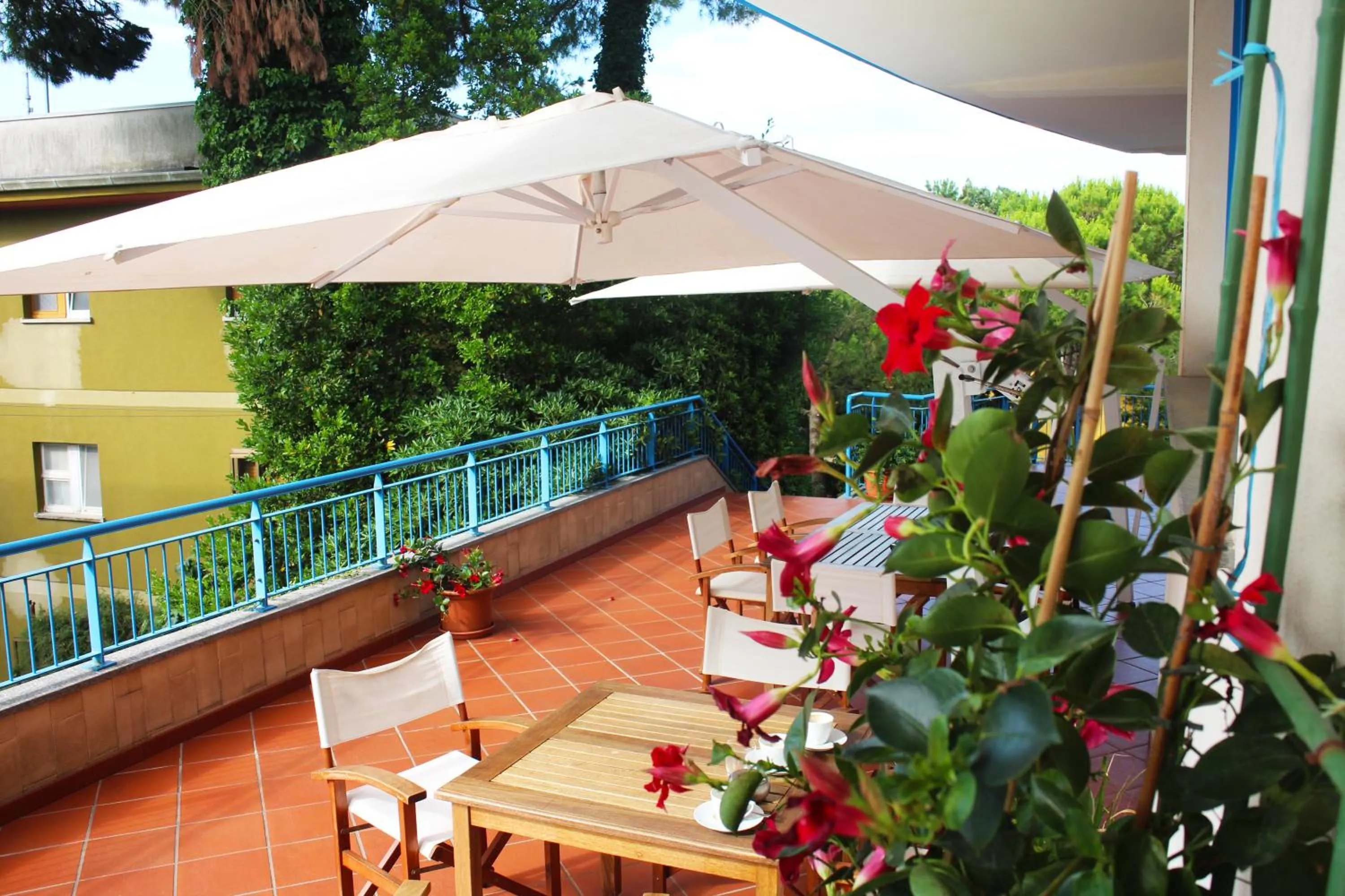 Patio in Hotel Cristallo