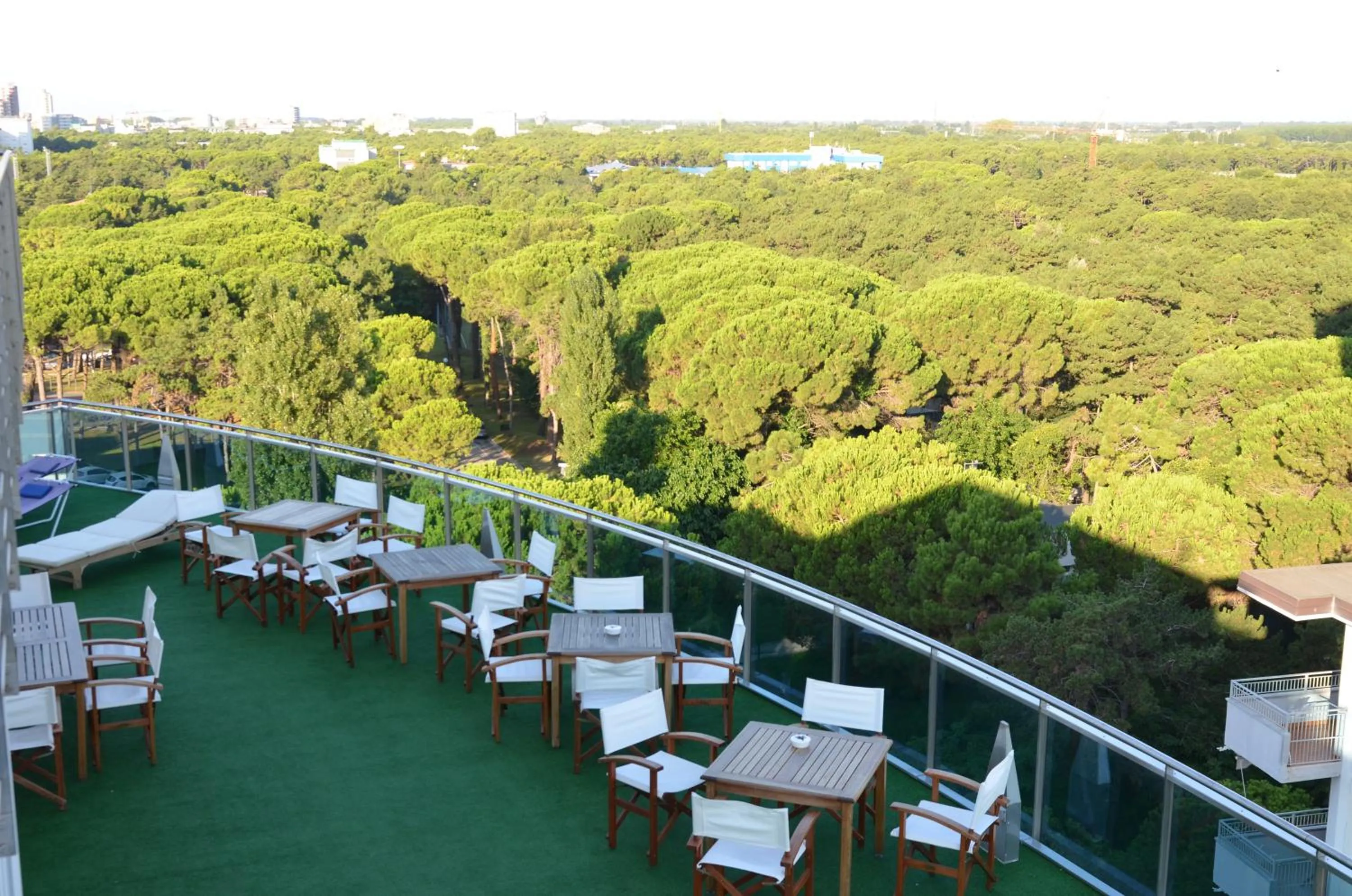 Balcony/Terrace in Hotel Cristallo