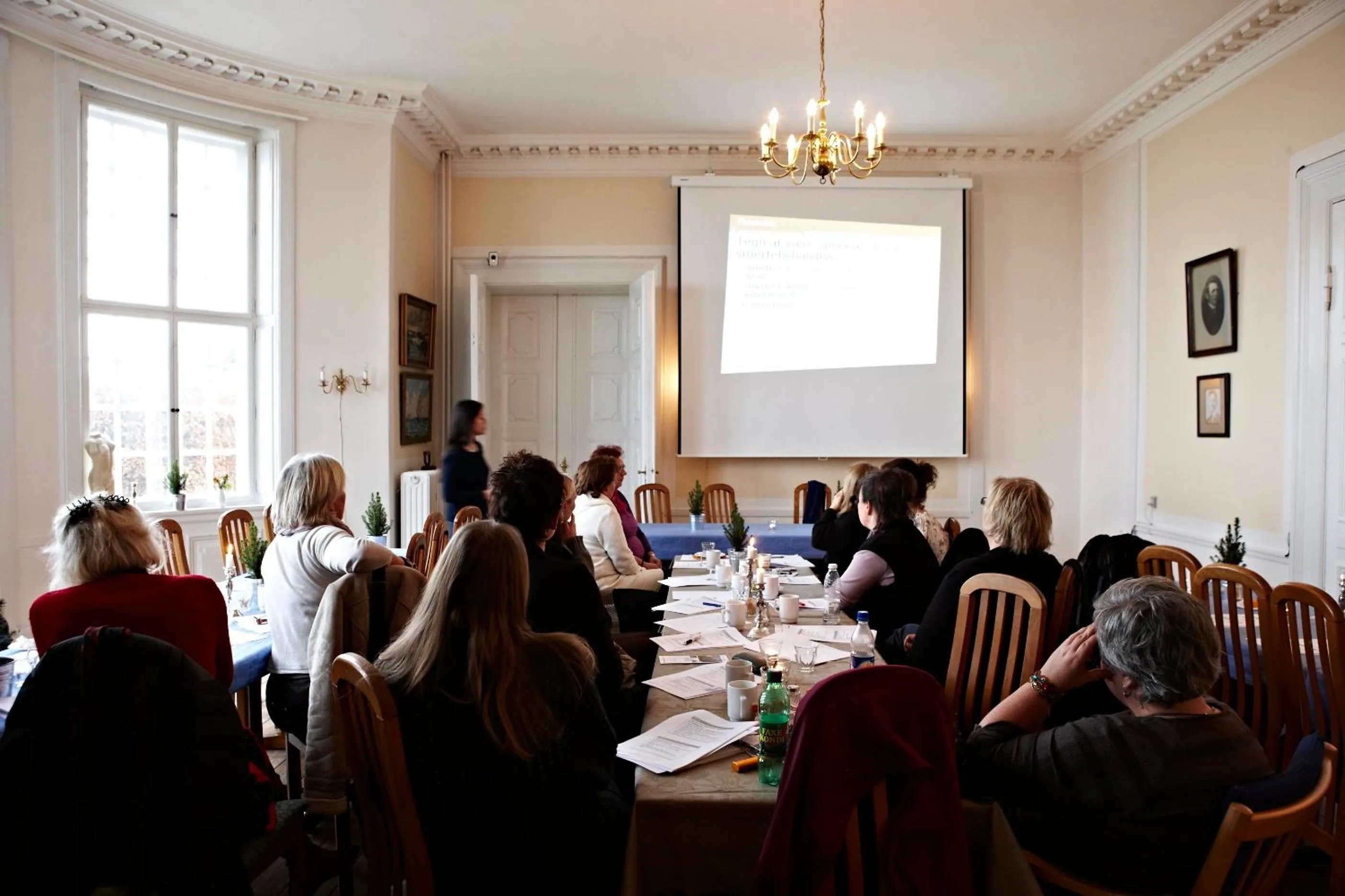 Business facilities in Danhostel Helsingør