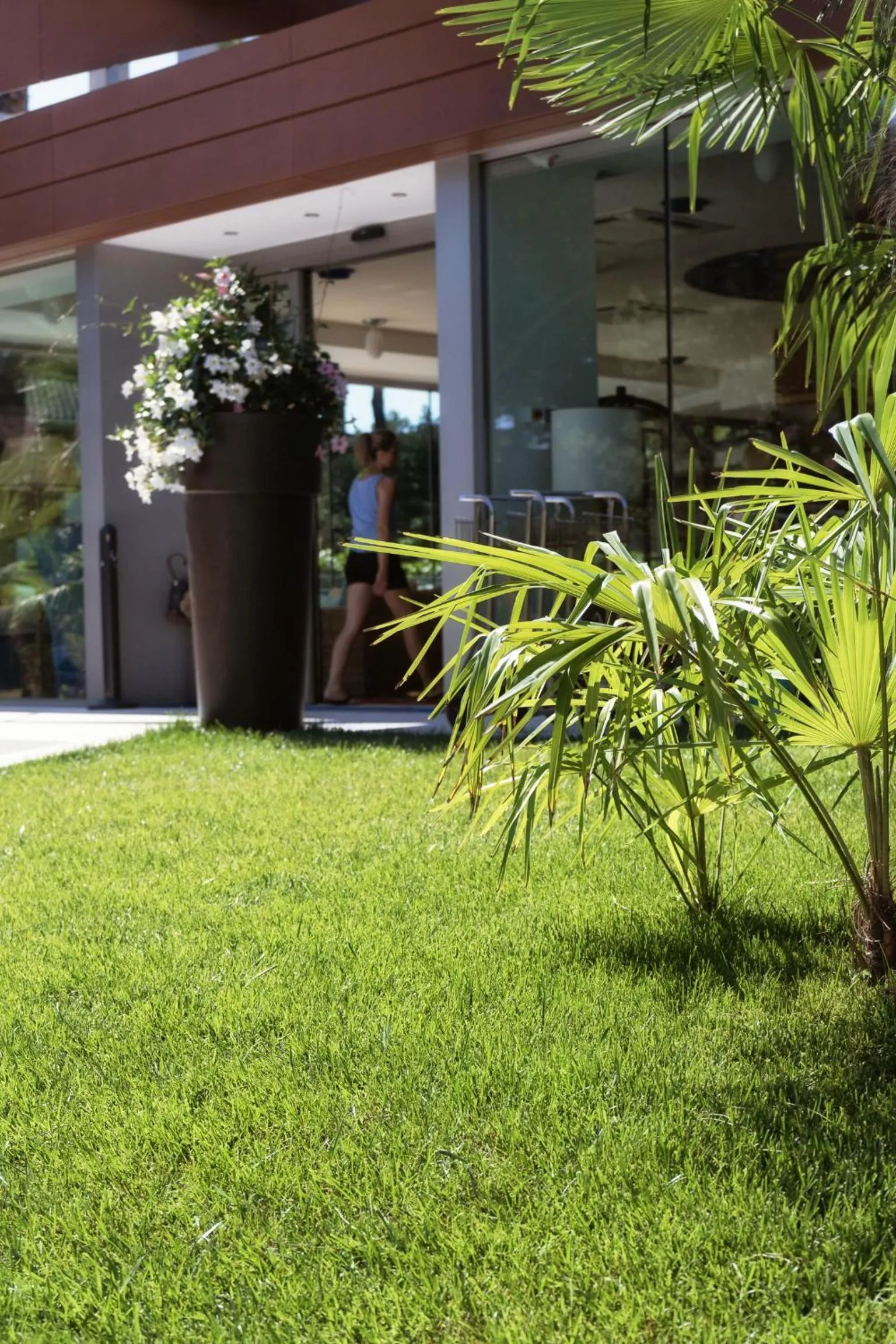 Other in Hotel Arizona