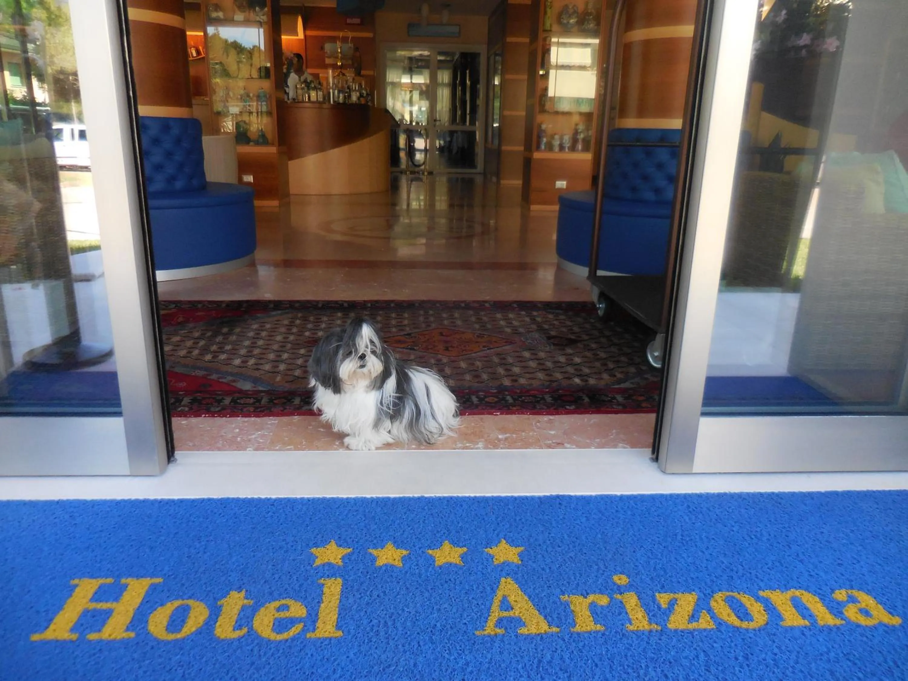 Pets in Hotel Arizona