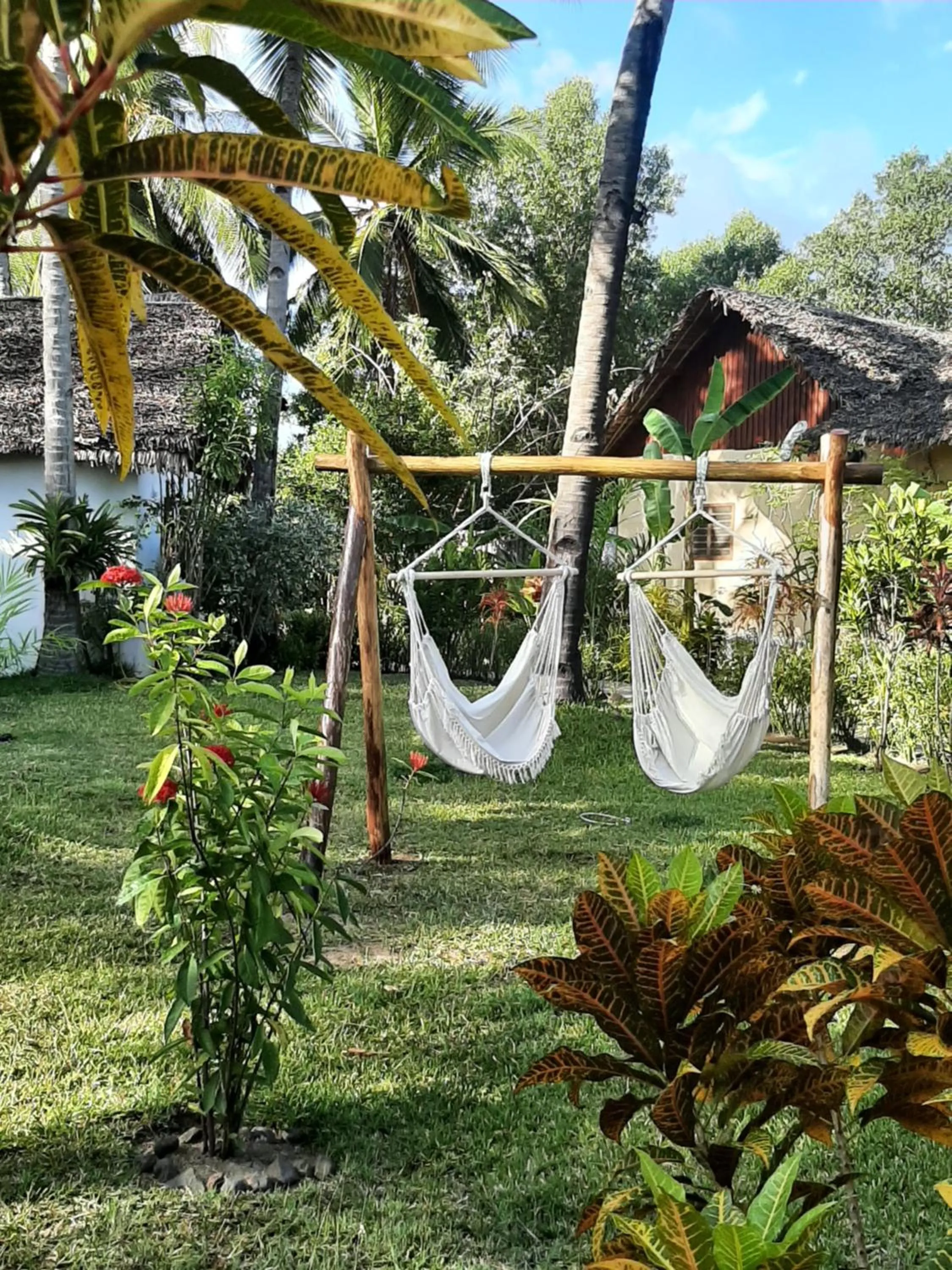 Garden in Le Moya Beach