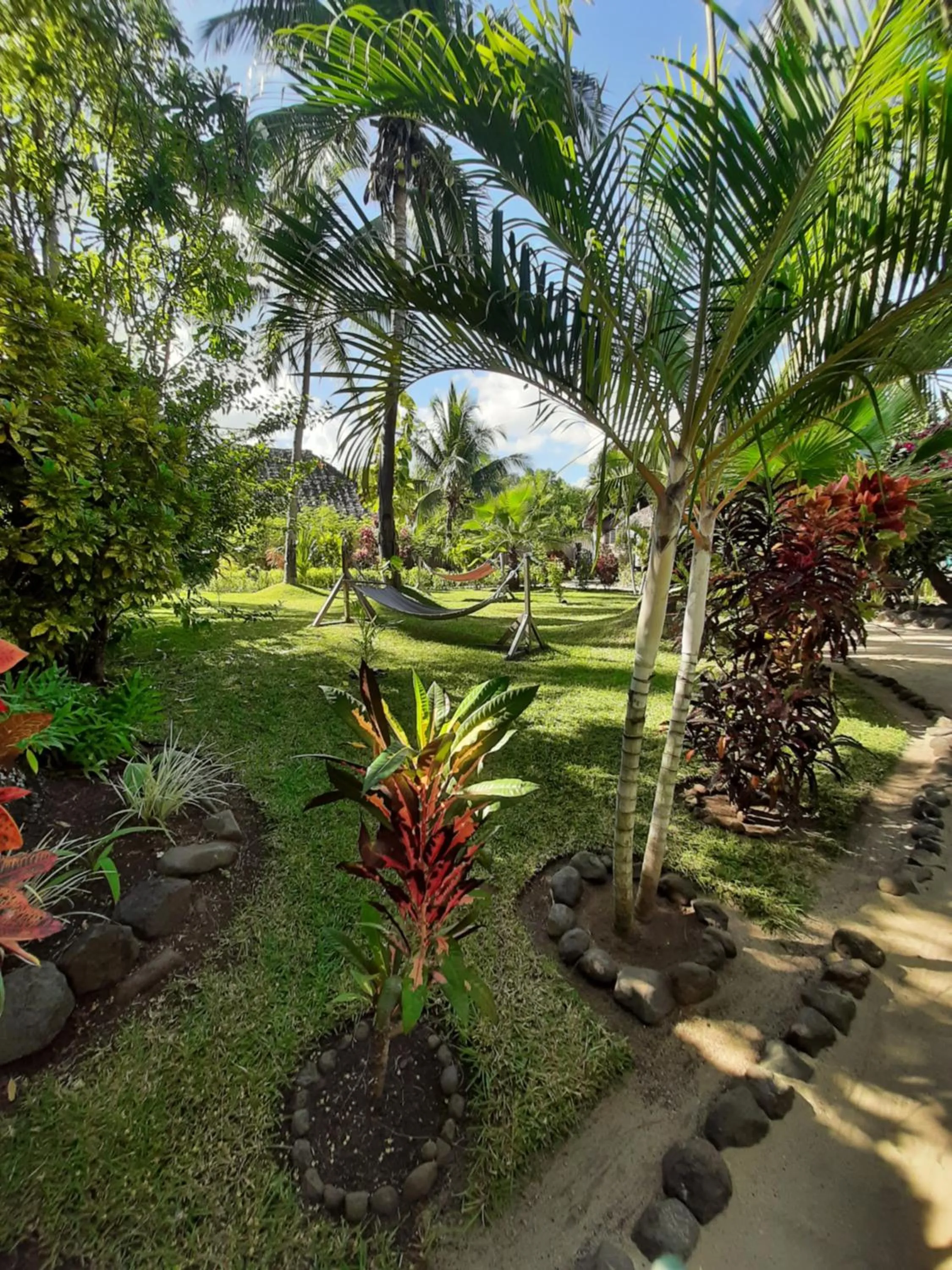 Garden in Le Moya Beach