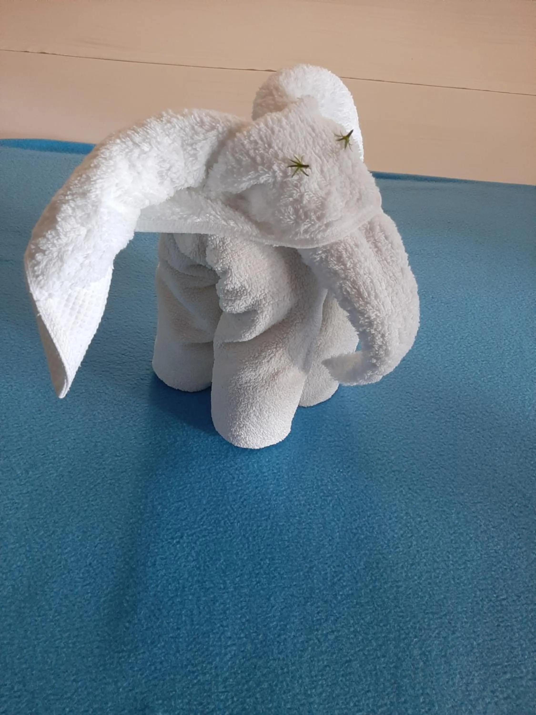 Decorative detail in Le Moya Beach