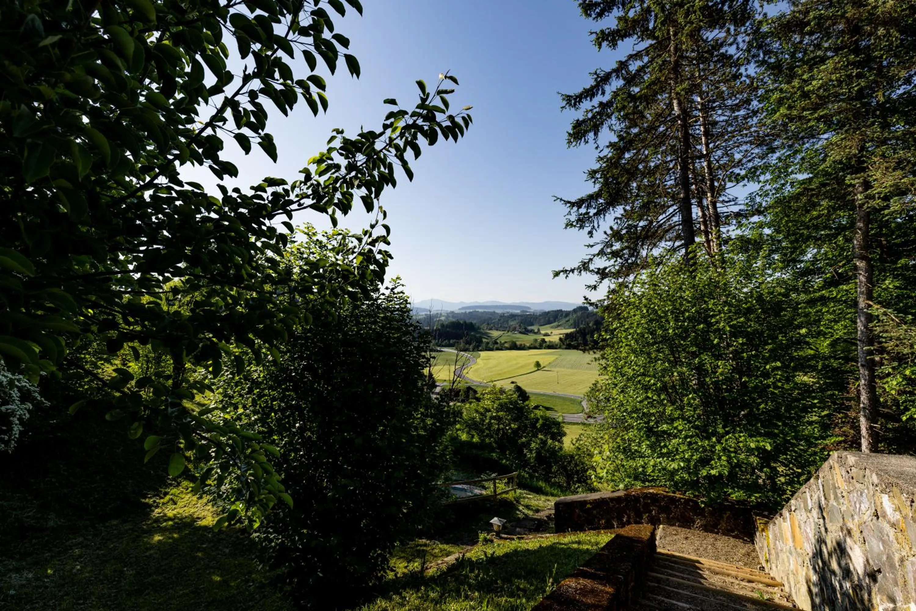 Garden in Hotel zur Rose