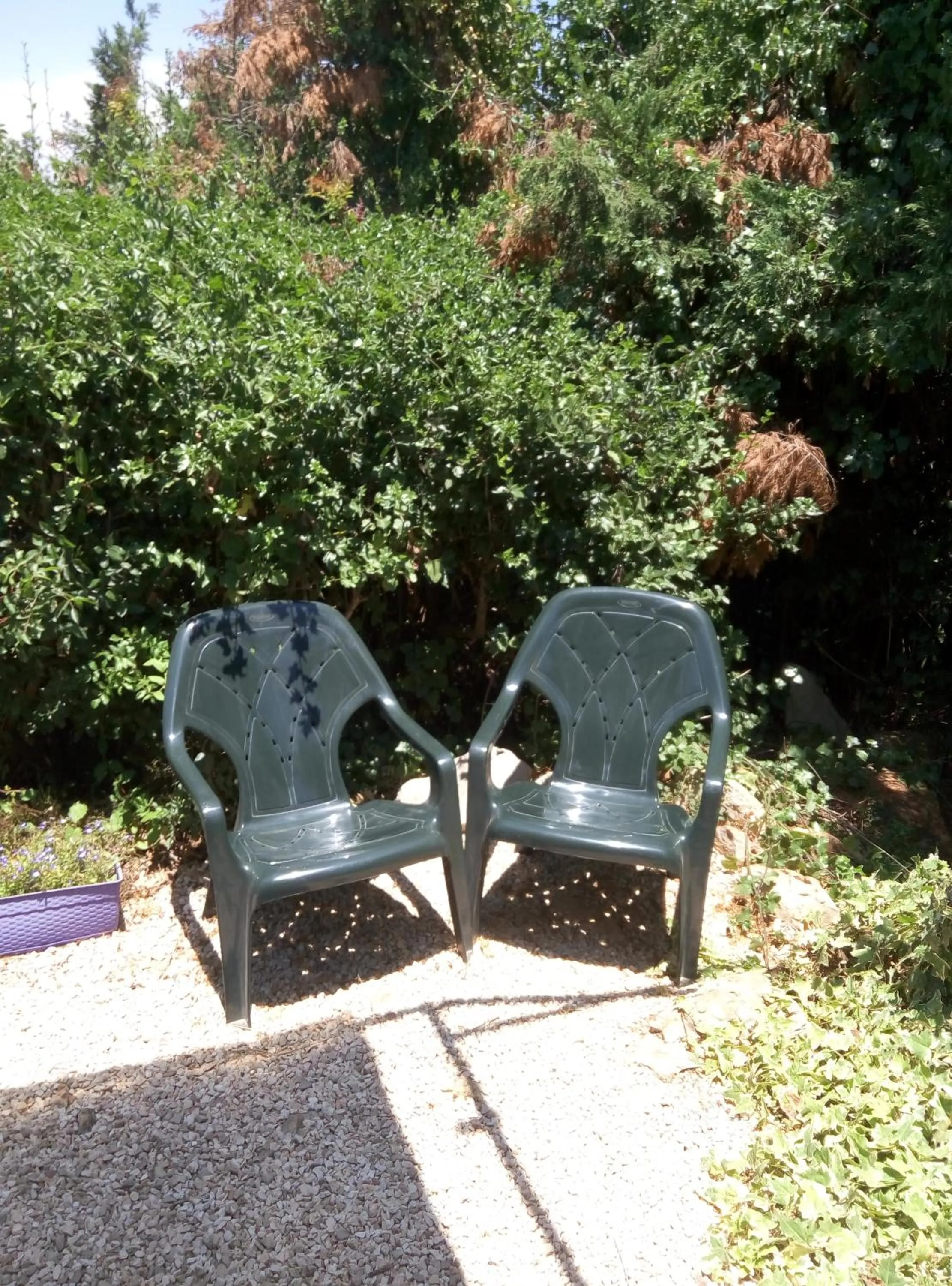 Seating area in Cabin In The View