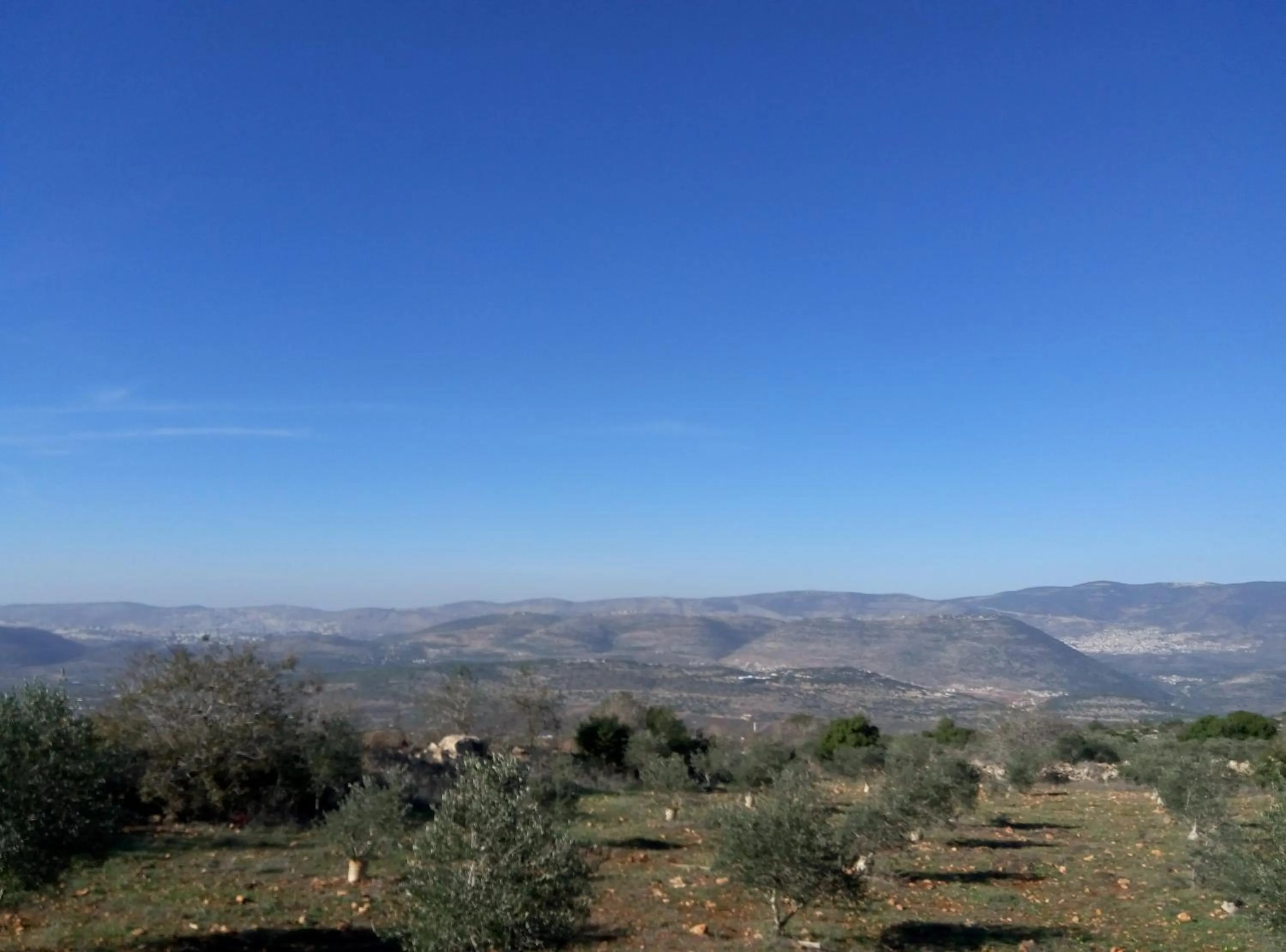 Mountain view in Cabin In The View