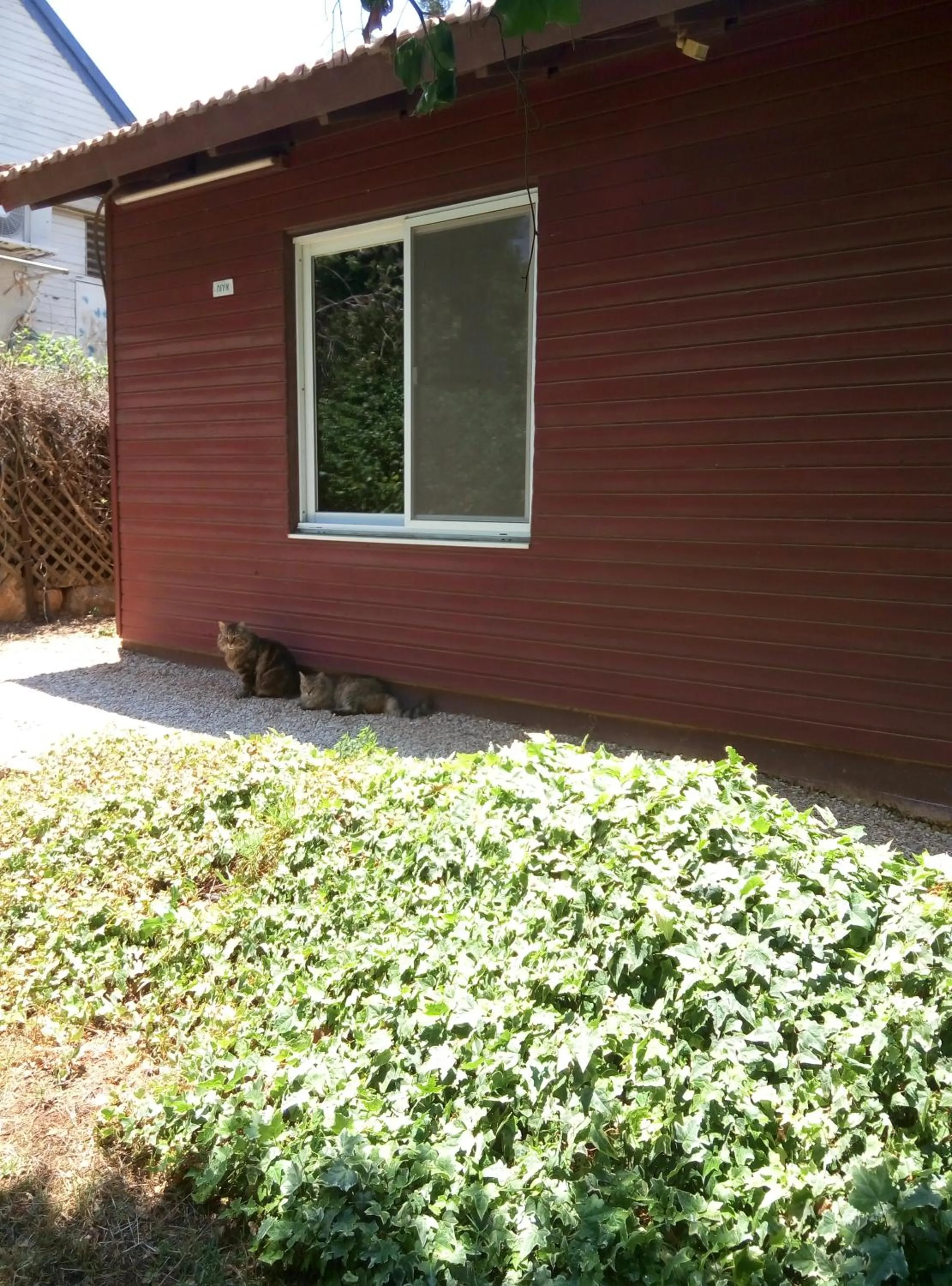Pets in Cabin In The View