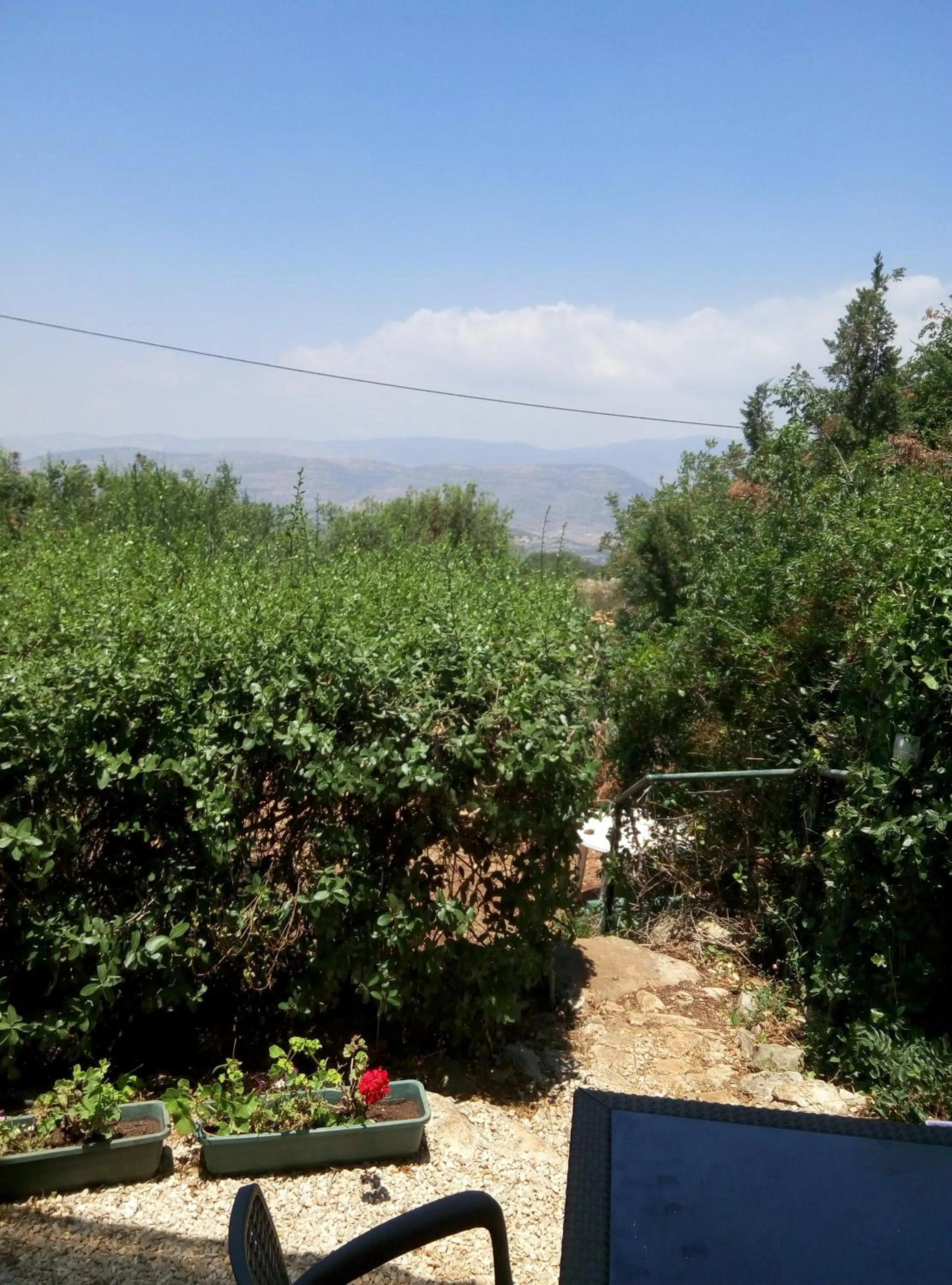 Garden view in Cabin In The View