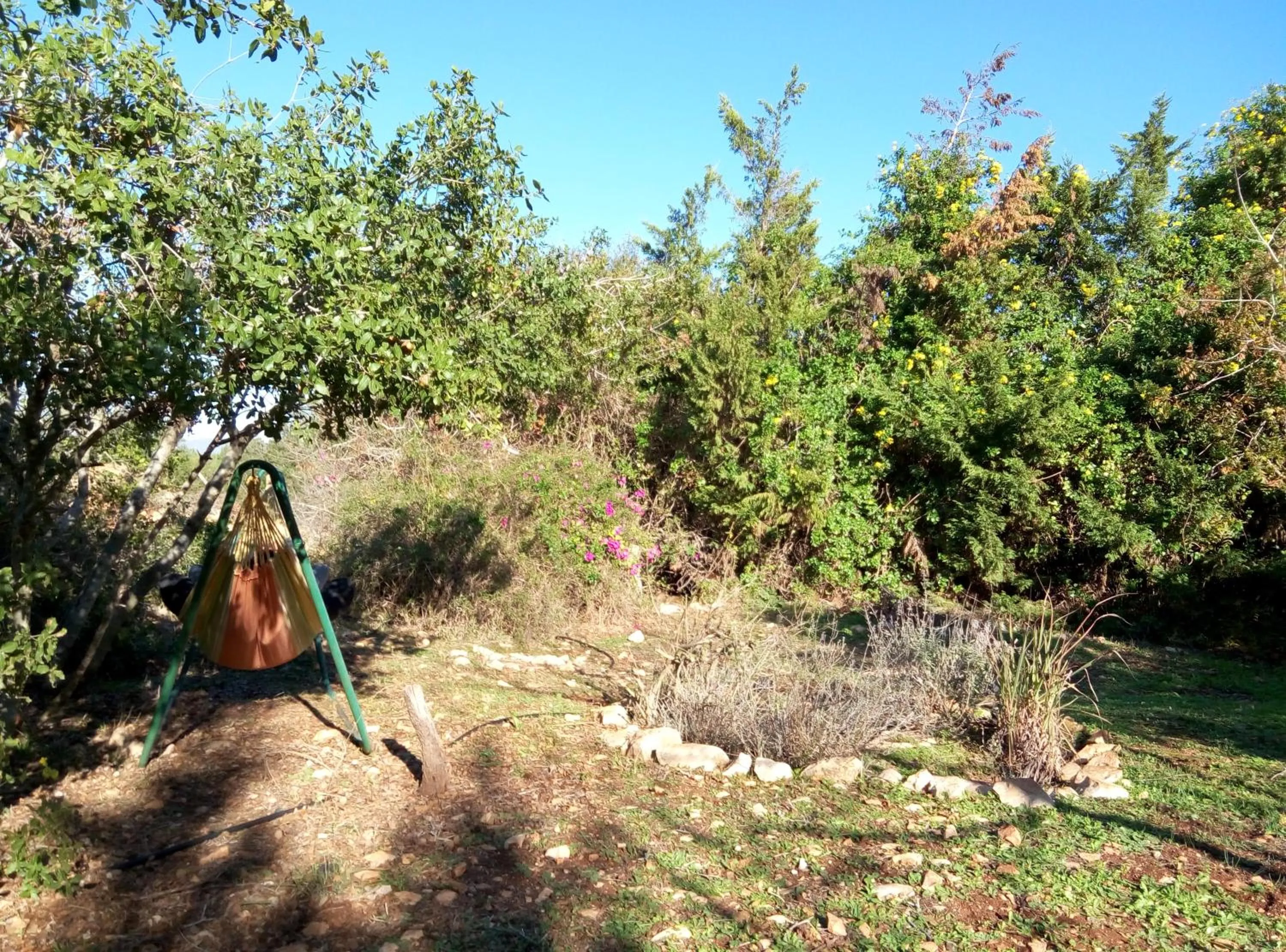 Garden in Cabin In The View